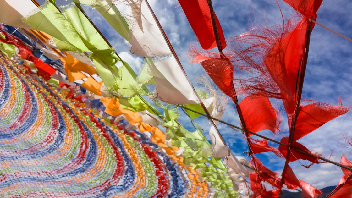 DJI Pocket 4 拍照直出效果