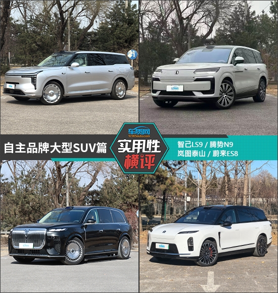 日常实用性测试横评：自主品牌大型SUV篇