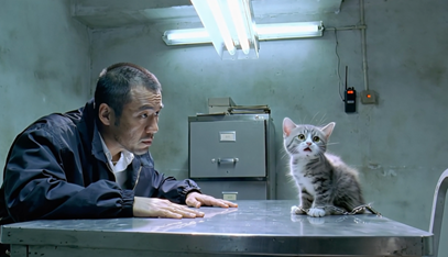 Happy Horse Creative Output