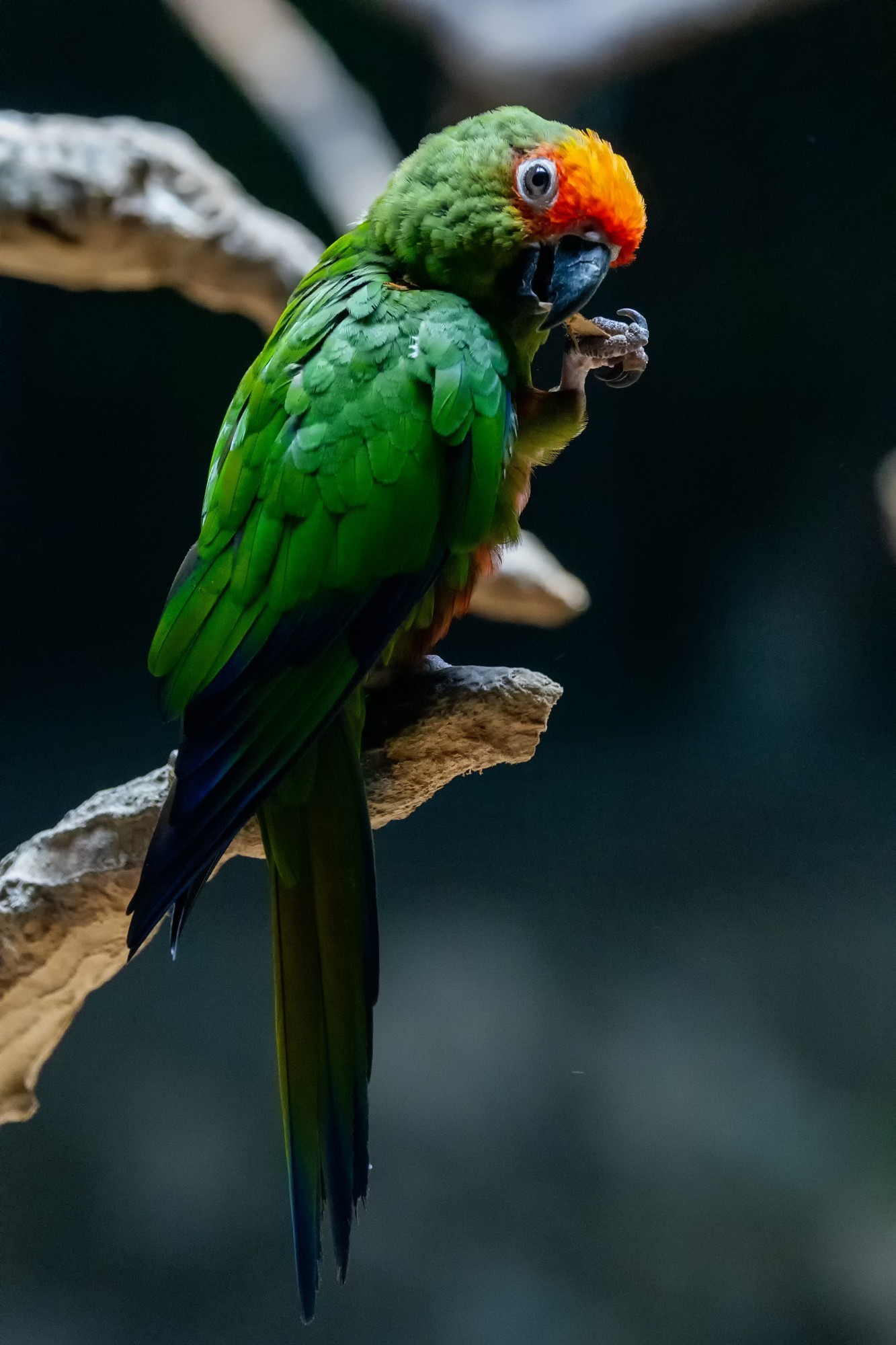 佳能EOS R6 Mark II夜景样片