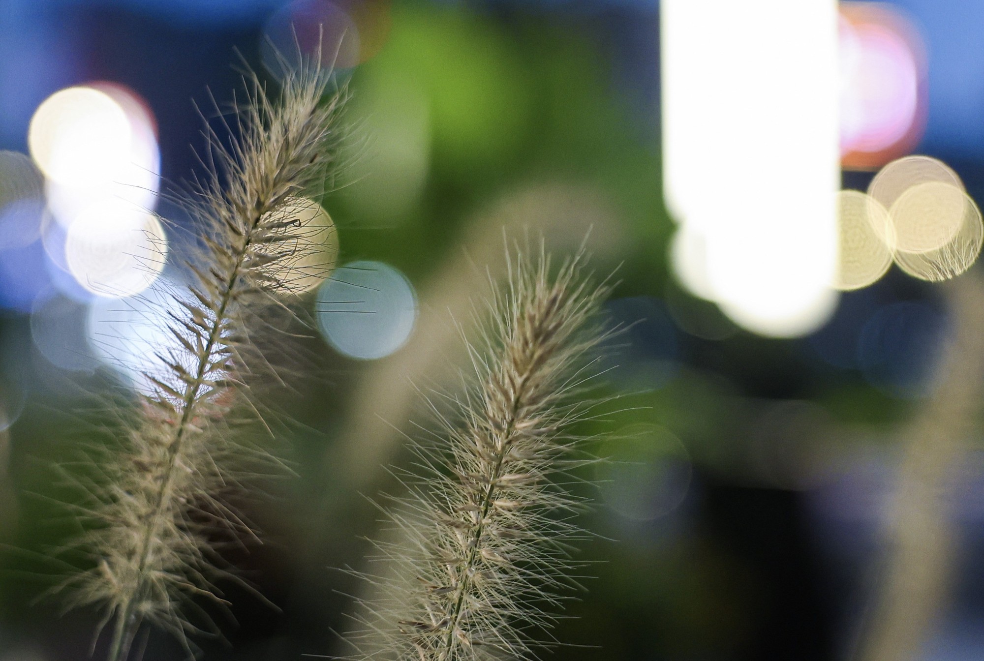 佳能 EOS R8 高感光度夜景样片放大