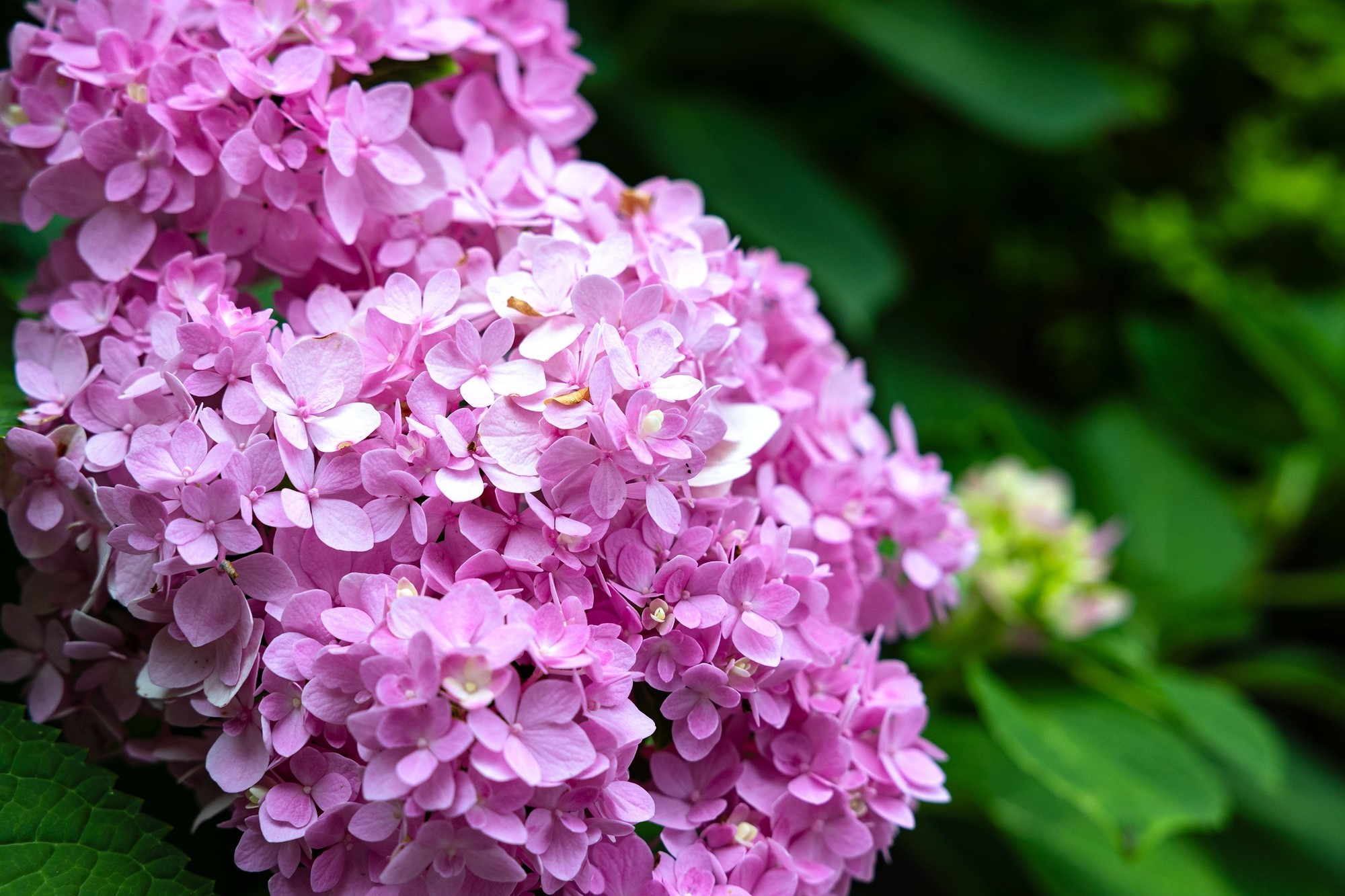 佳能 EOS R8 色彩还原样片