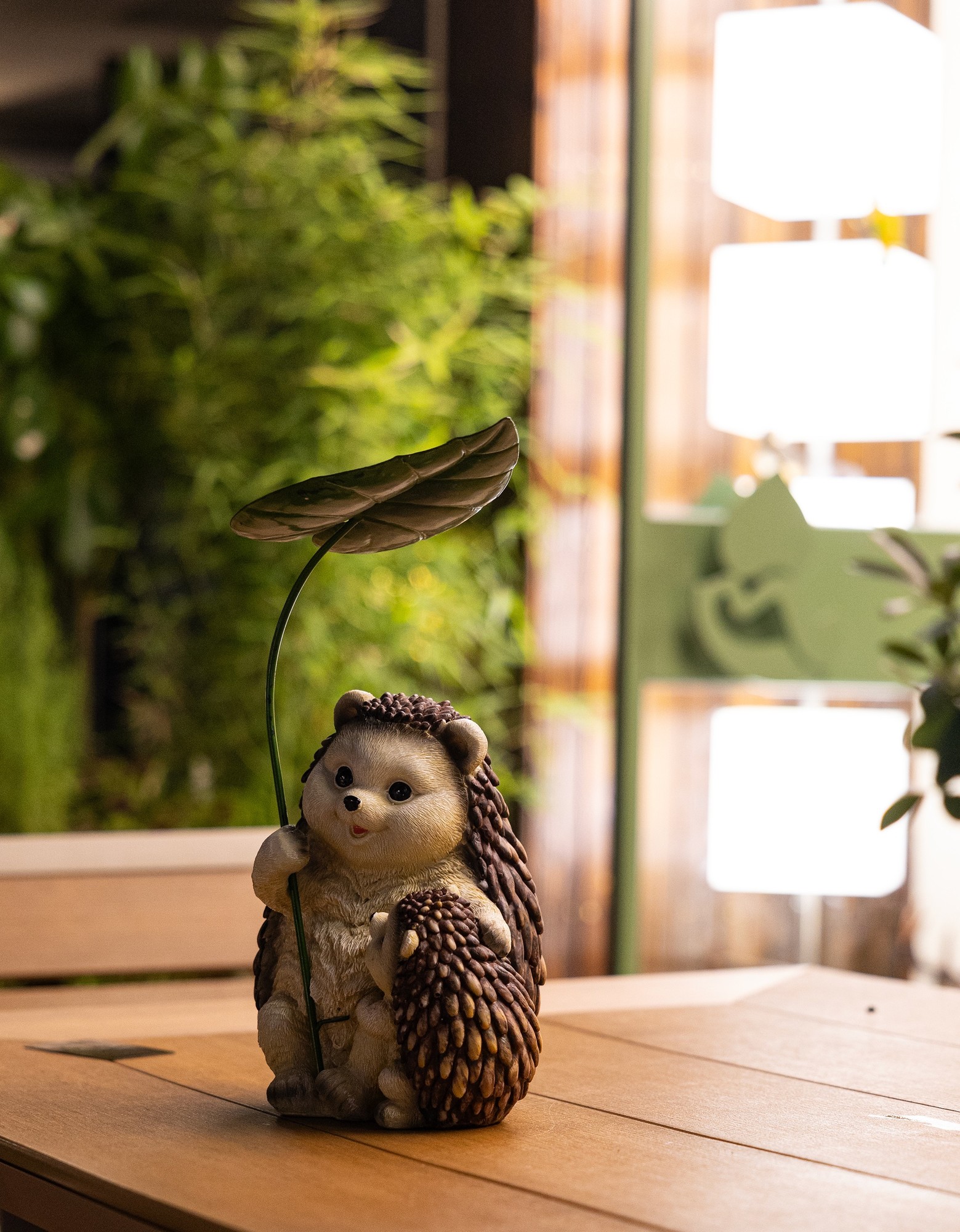 佳能EOS R8与RF24-70mm F2.8 L IS USM拍摄