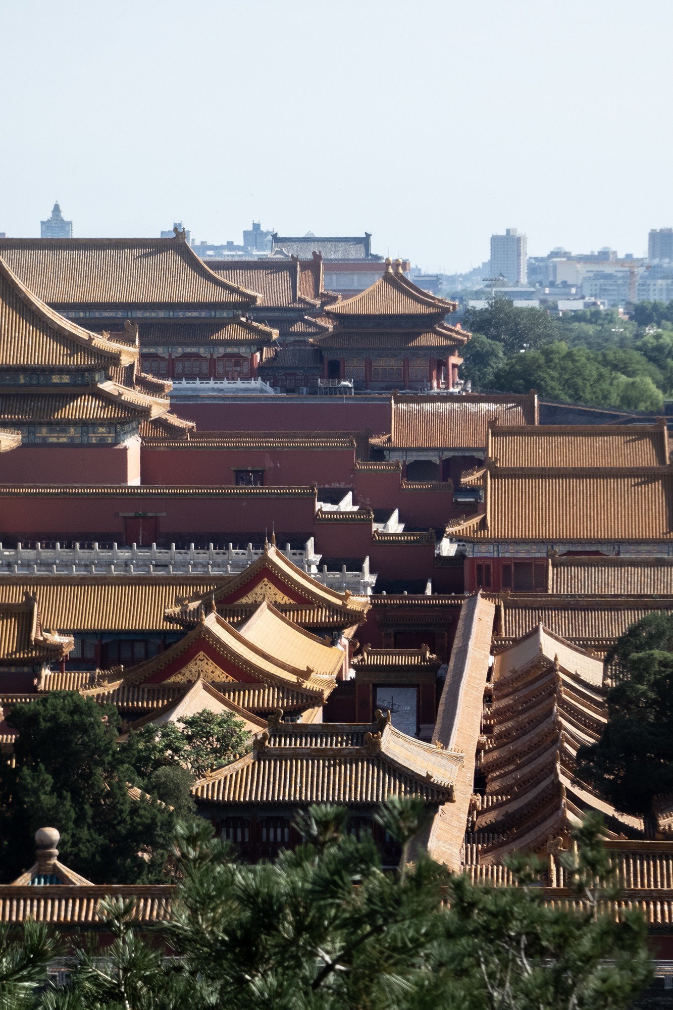 松下LUMIX FZ80D 60倍变焦拍摄样张