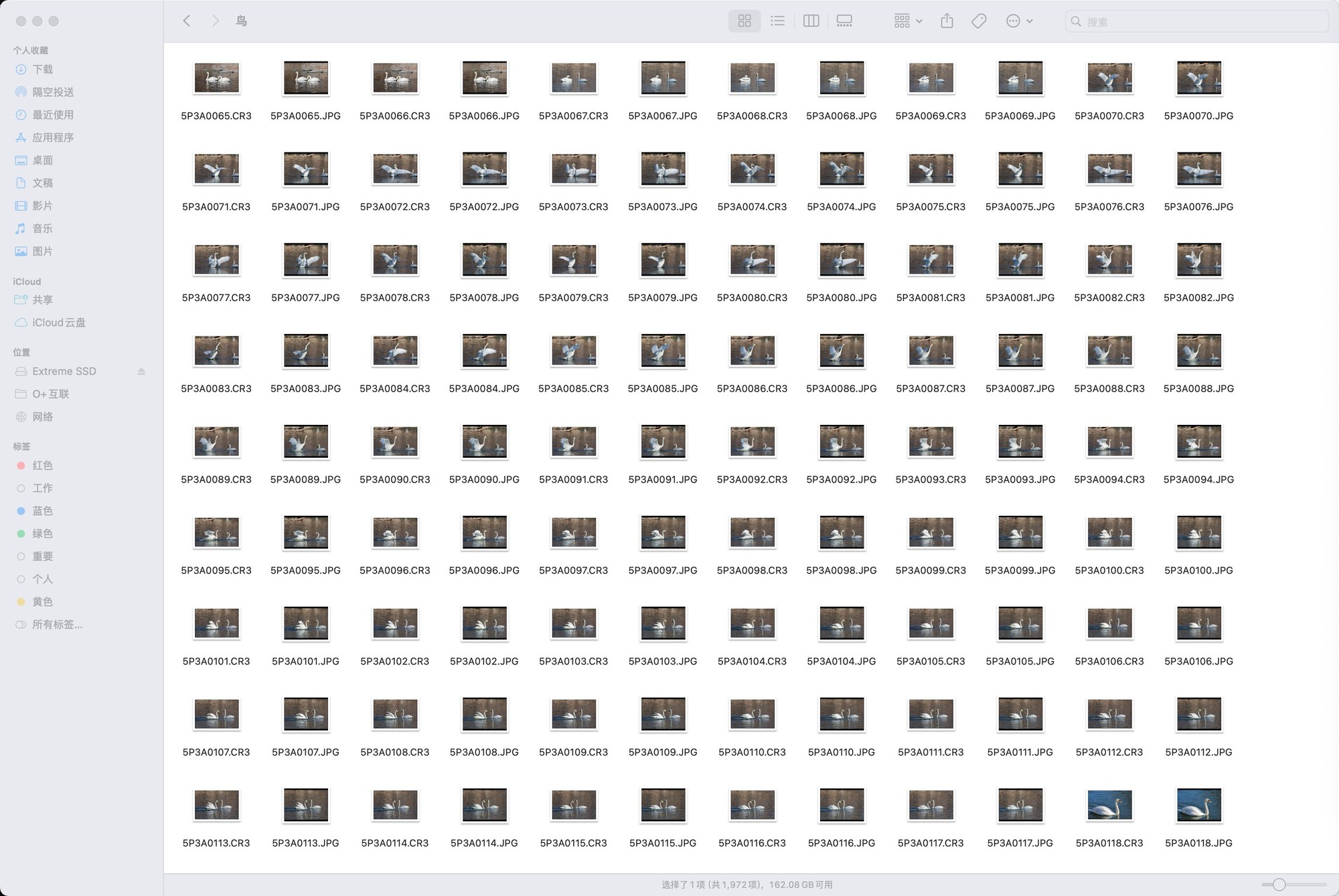 使用闪迪专业影视CFexpress Type B存储卡进行连拍展示
