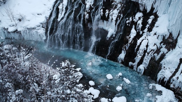 富士X100VI动物眼部识别自动对焦演示