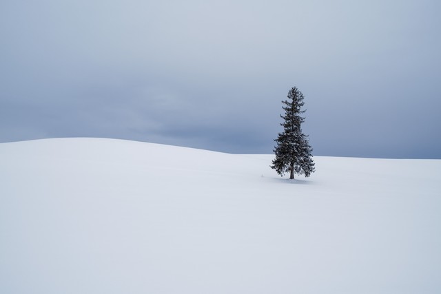 23mm焦段，1/110s快门，F5.6光圈，ISO 125