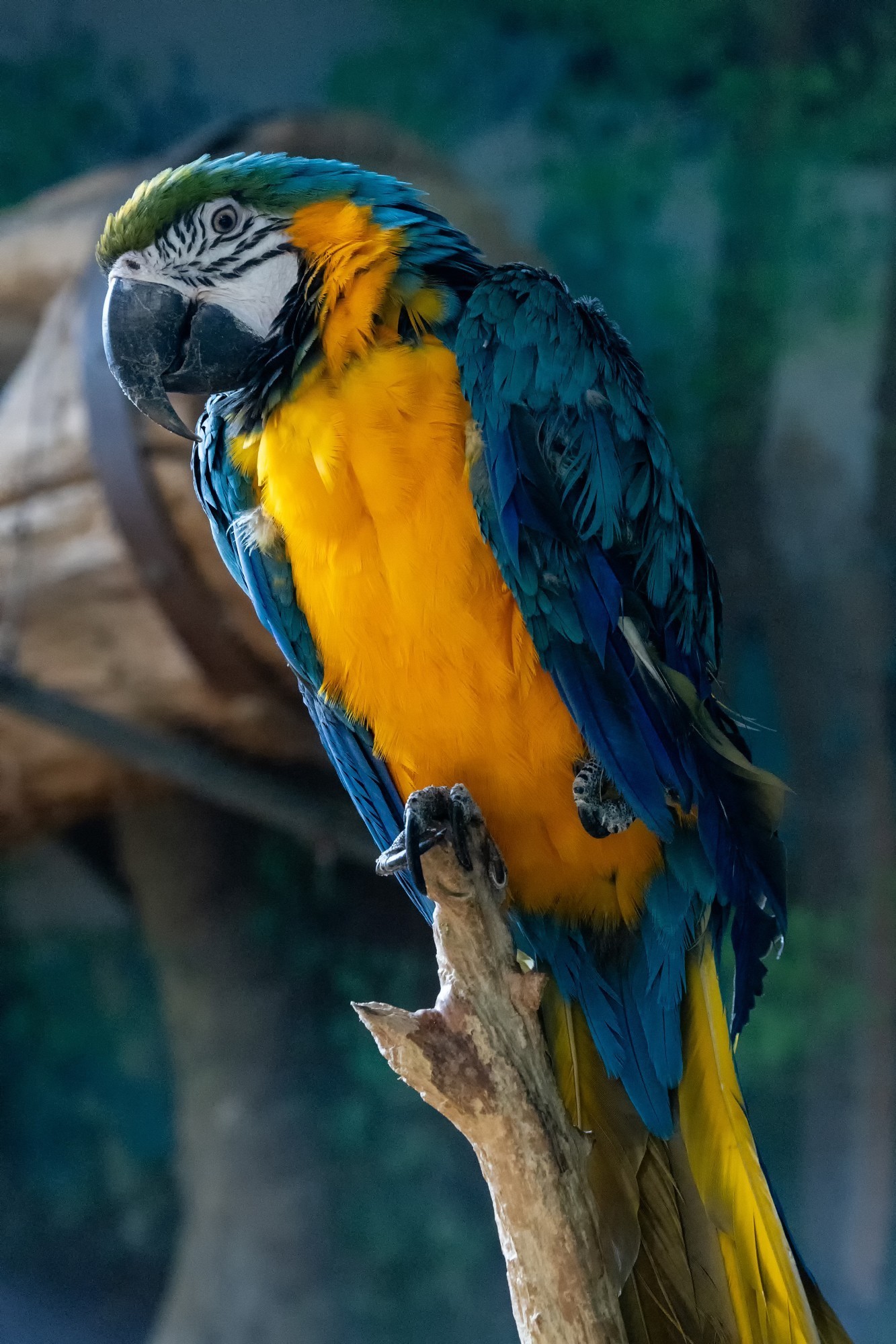 佳能EOS R6 Mark II夜景样片