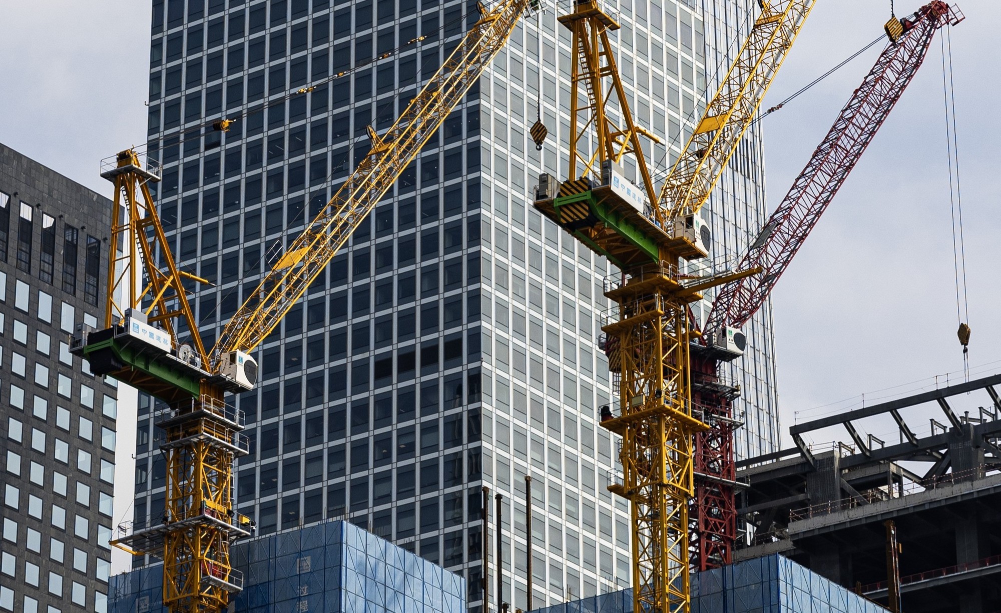 EOS R8拍摄的细节裁切展示