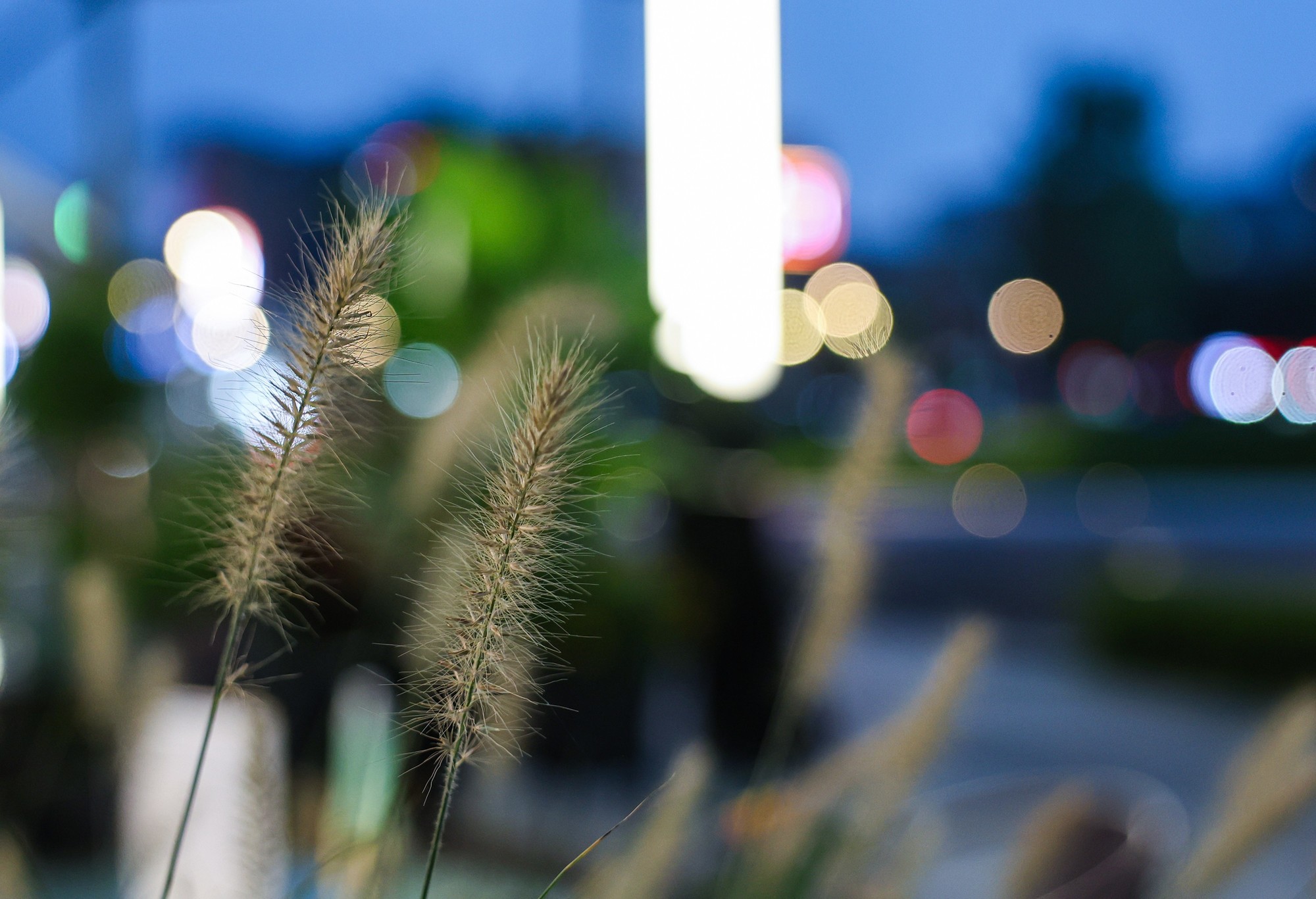 佳能 EOS R8 高感光度夜景样片