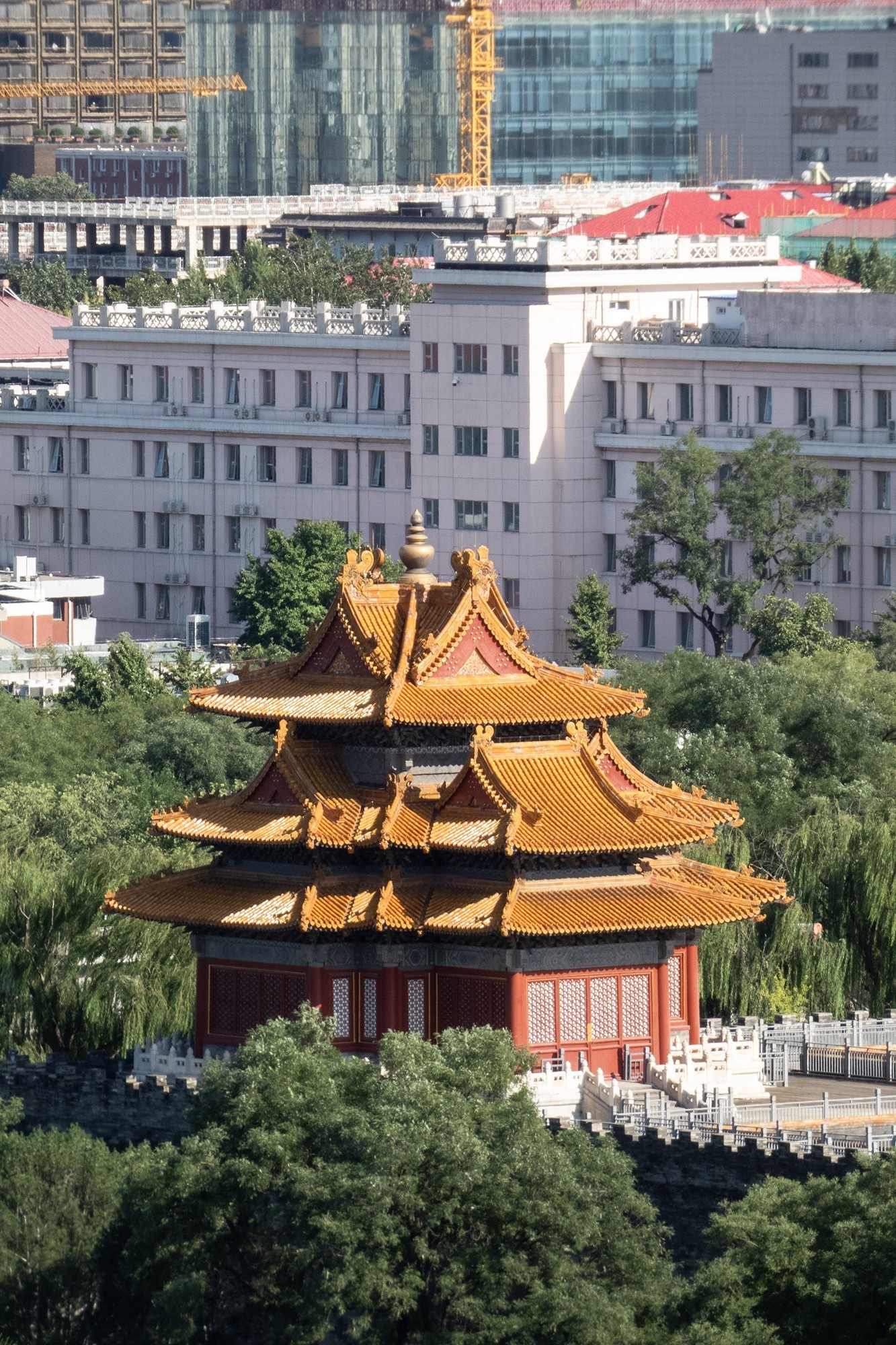 松下LUMIX FZ80D 拍摄的特写