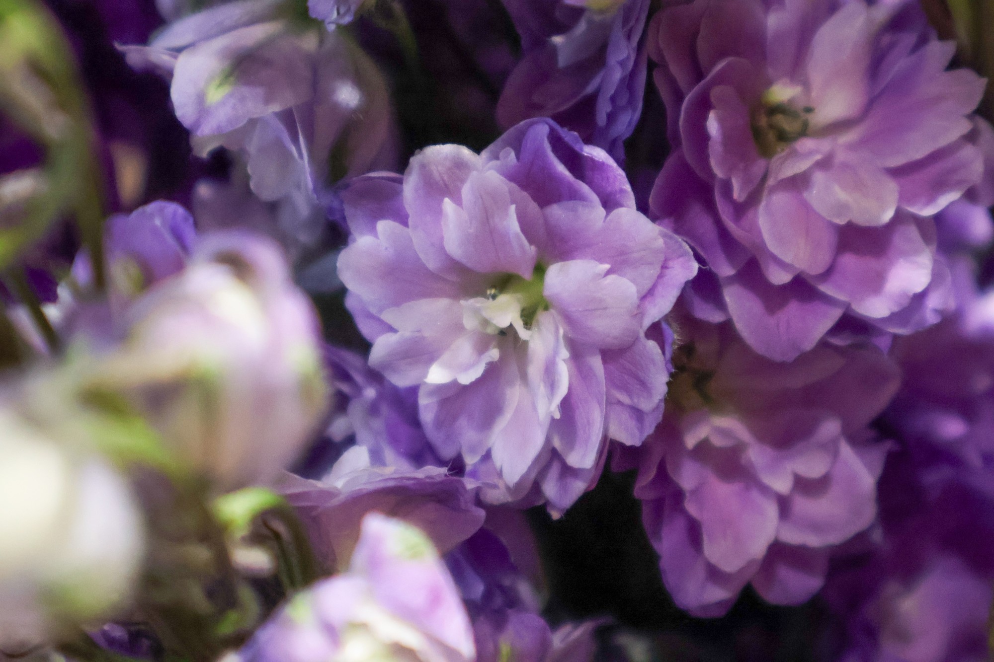 焦距45mm 光圈 F6.3 ISO 6400 曝光时长 1/640s