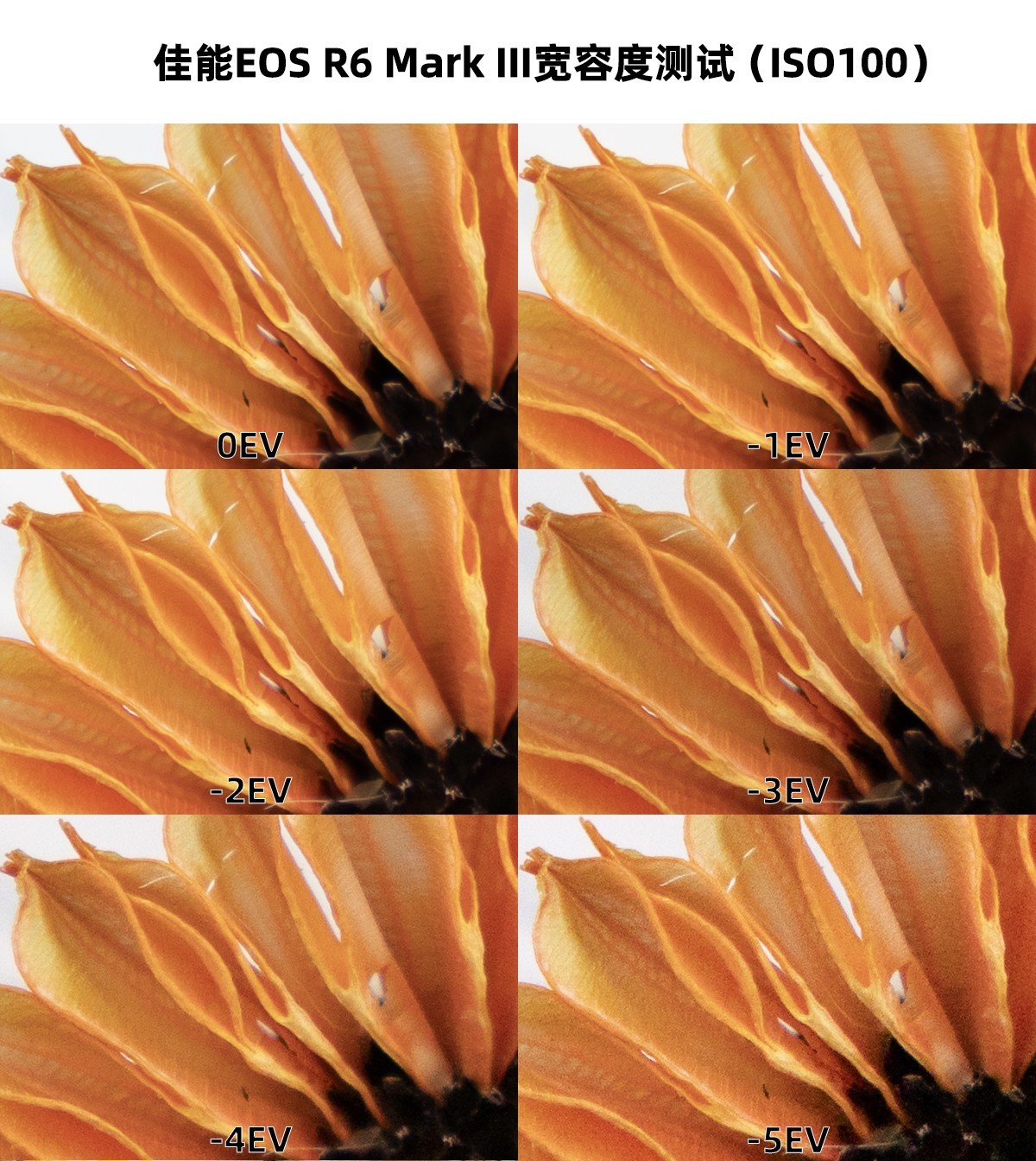 佳能EOS R6 Mark III 宽容度测试 ISO 100