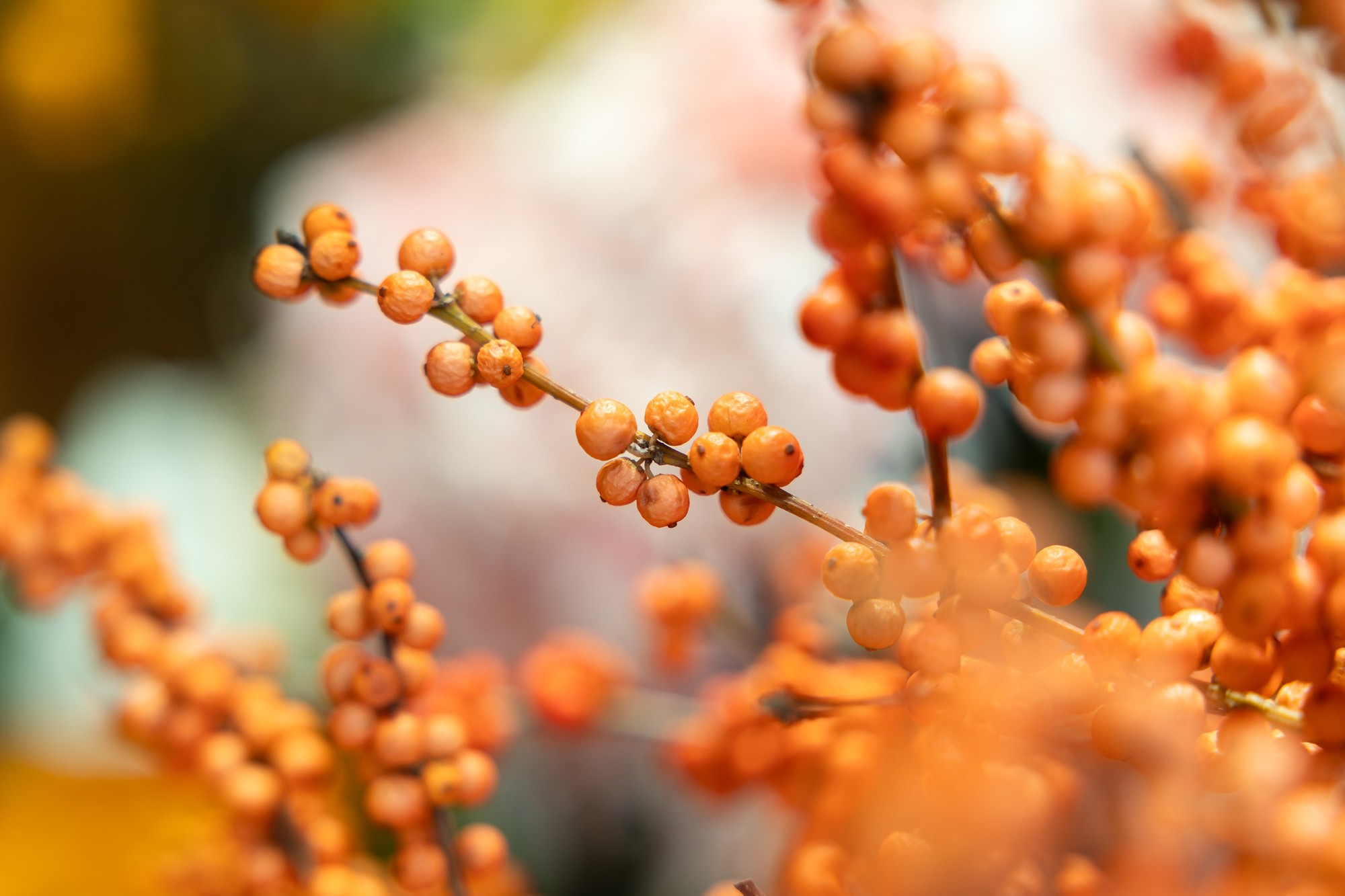 60倍快动作演示