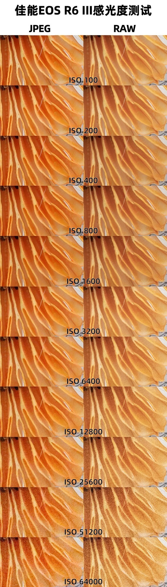 佳能EOS R6 Mark III 感光度测试
