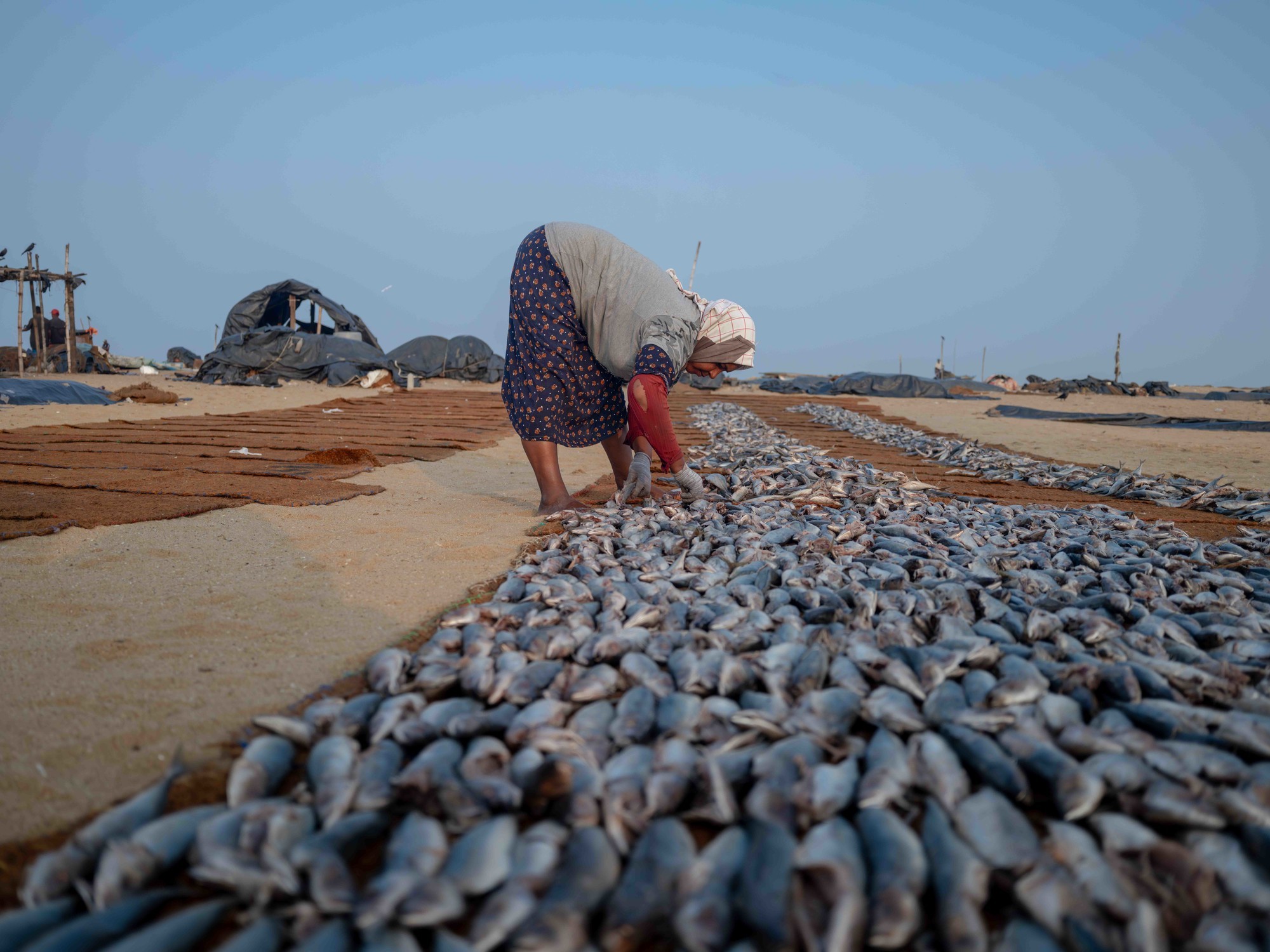 富士 GFX100RF ASTIA柔和模式样张 2