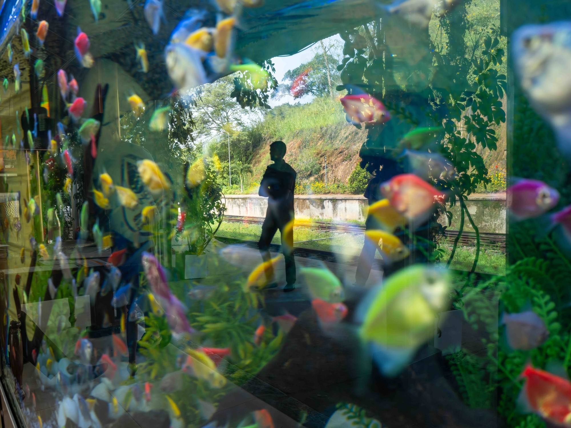 富士 GFX100RF 斯里兰卡行摄实录