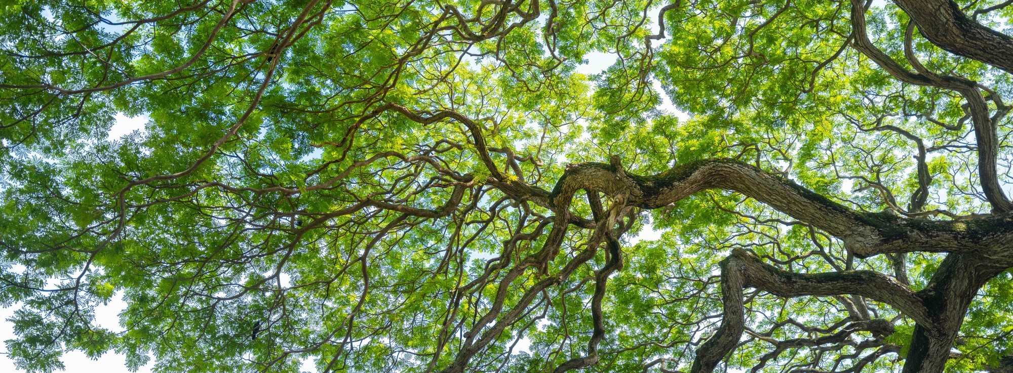 富士 GFX100RF 65:24 画幅拍摄