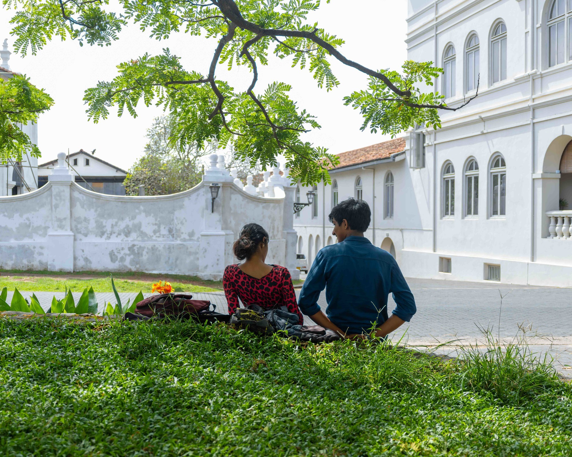 富士 GFX100RF 5:4 画幅实拍