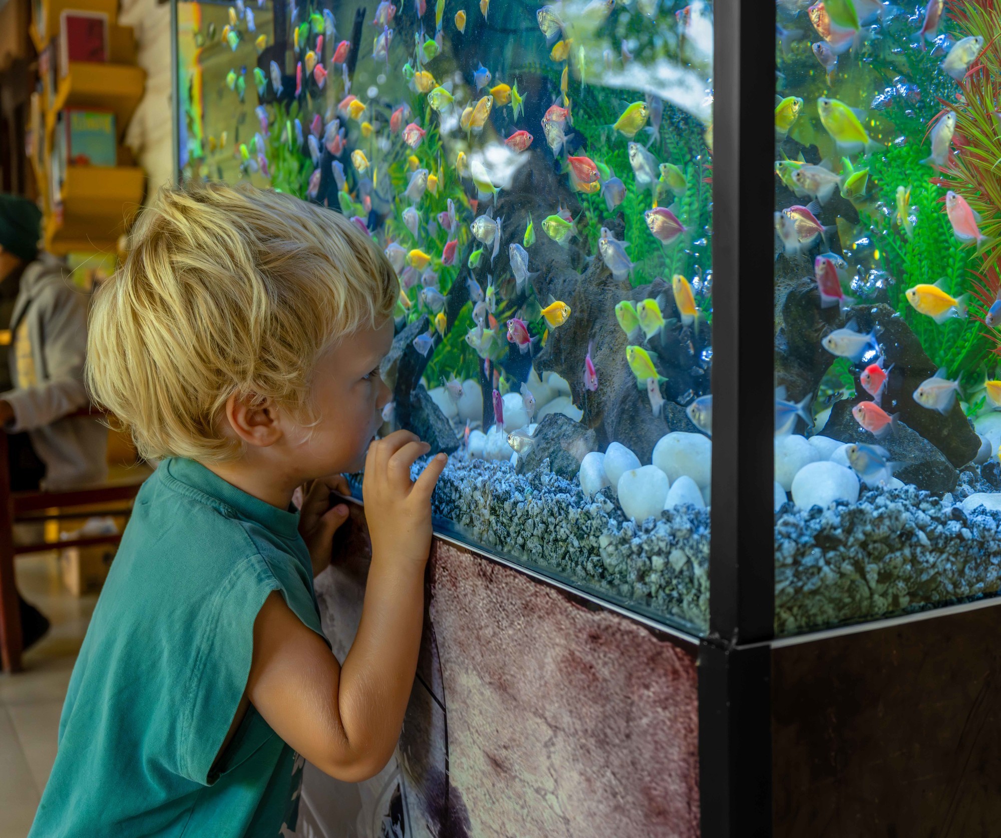 富士 GFX100RF 斯里兰卡行摄实录