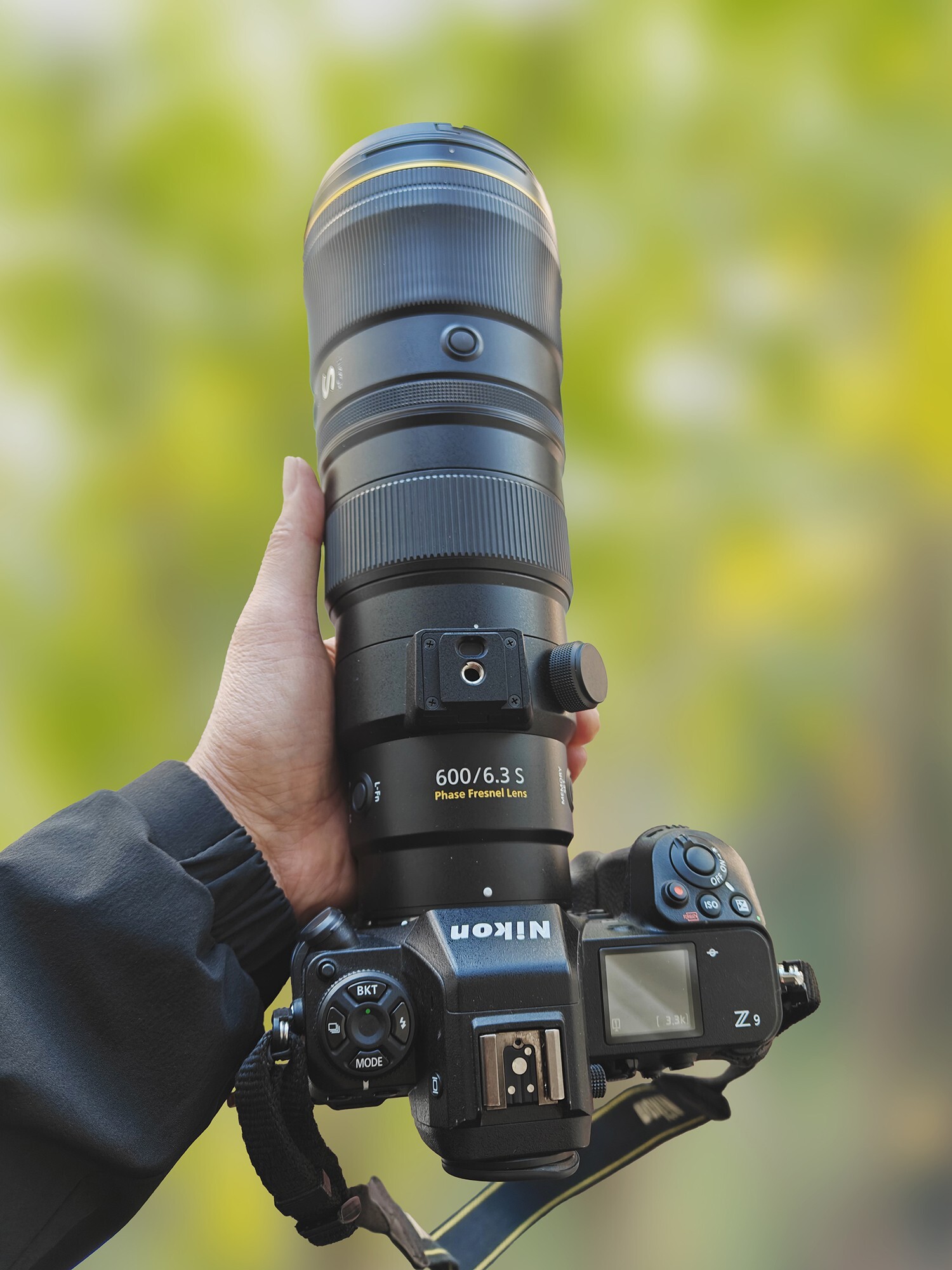 尼康 Z9 搭配 Z600mm f/6.3 VR S 镜头进行鸟类生态摄影