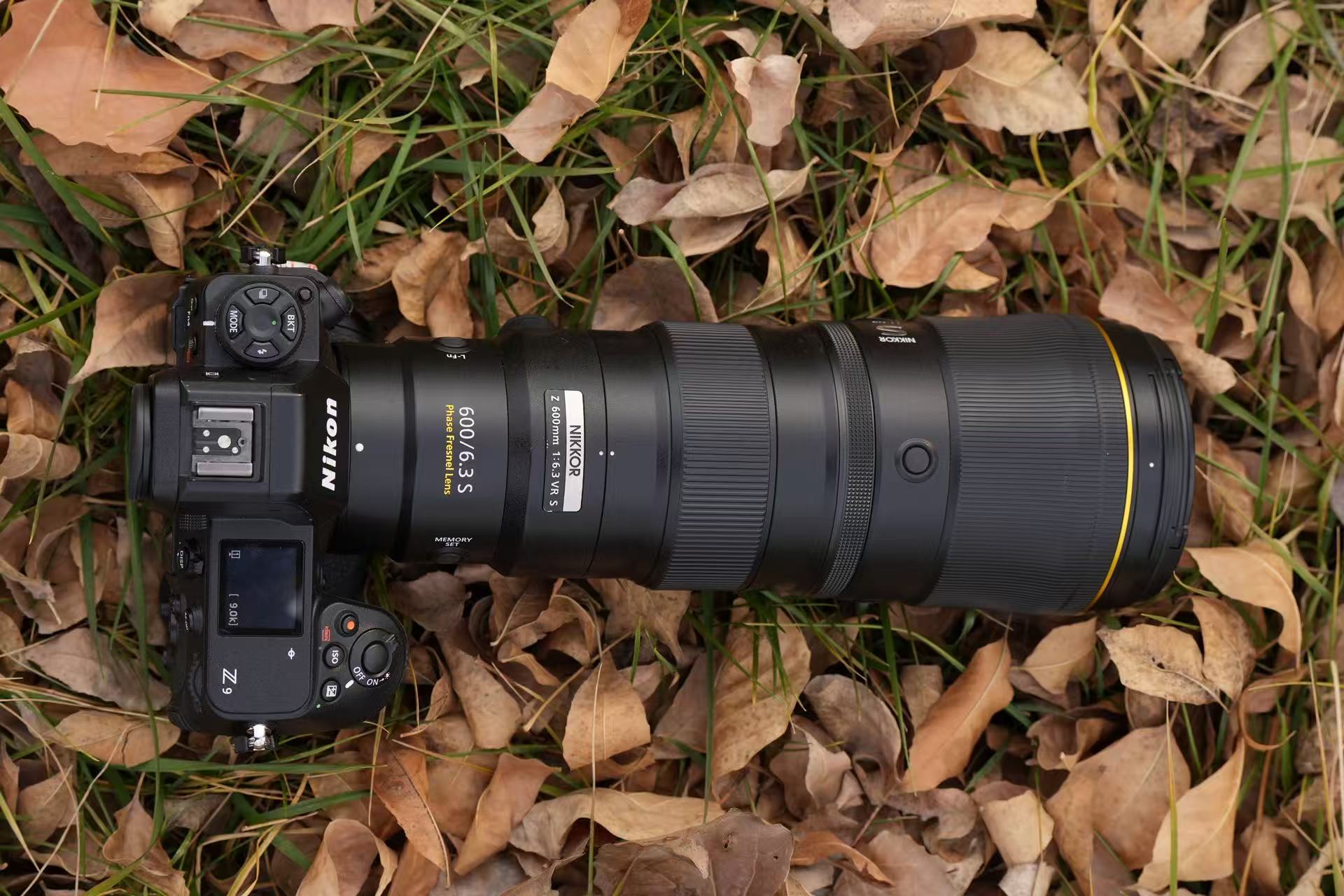 尼康Z9+尼克尔 Z 600mm f/6.3 VR S生态摄影体验