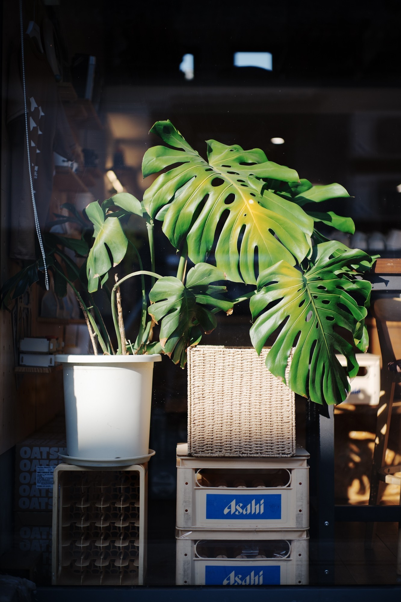 索尼 Alpha 7 V 样片（ISO 100）