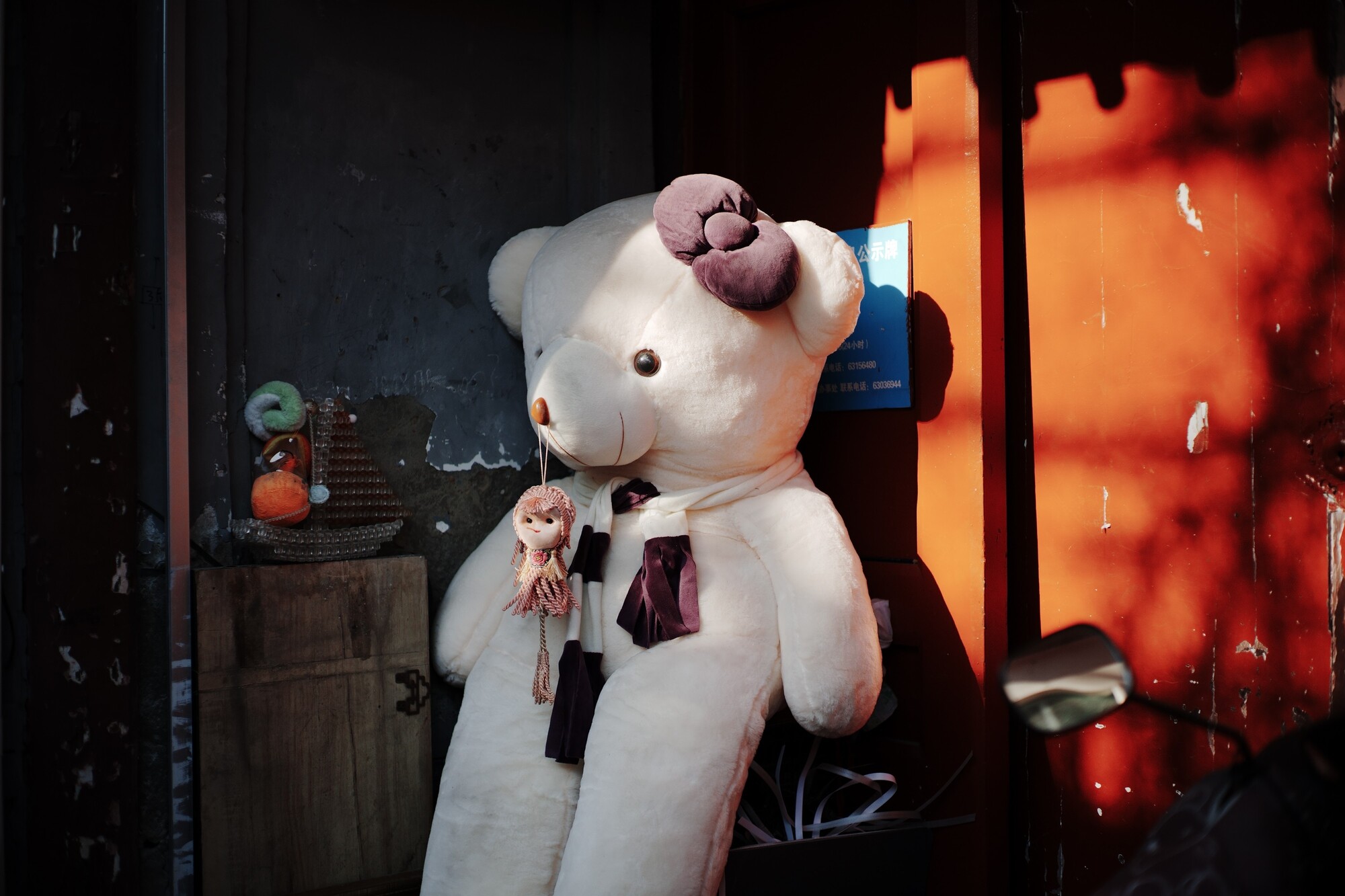 索尼Alpha 7 V 样片