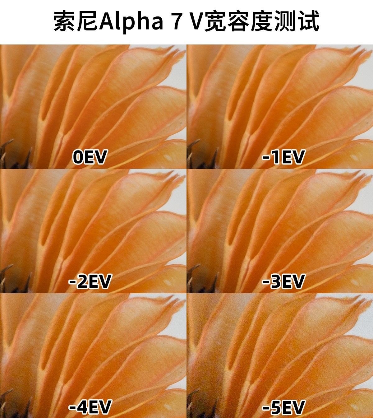 索尼 Alpha 7 V 宽容度测试