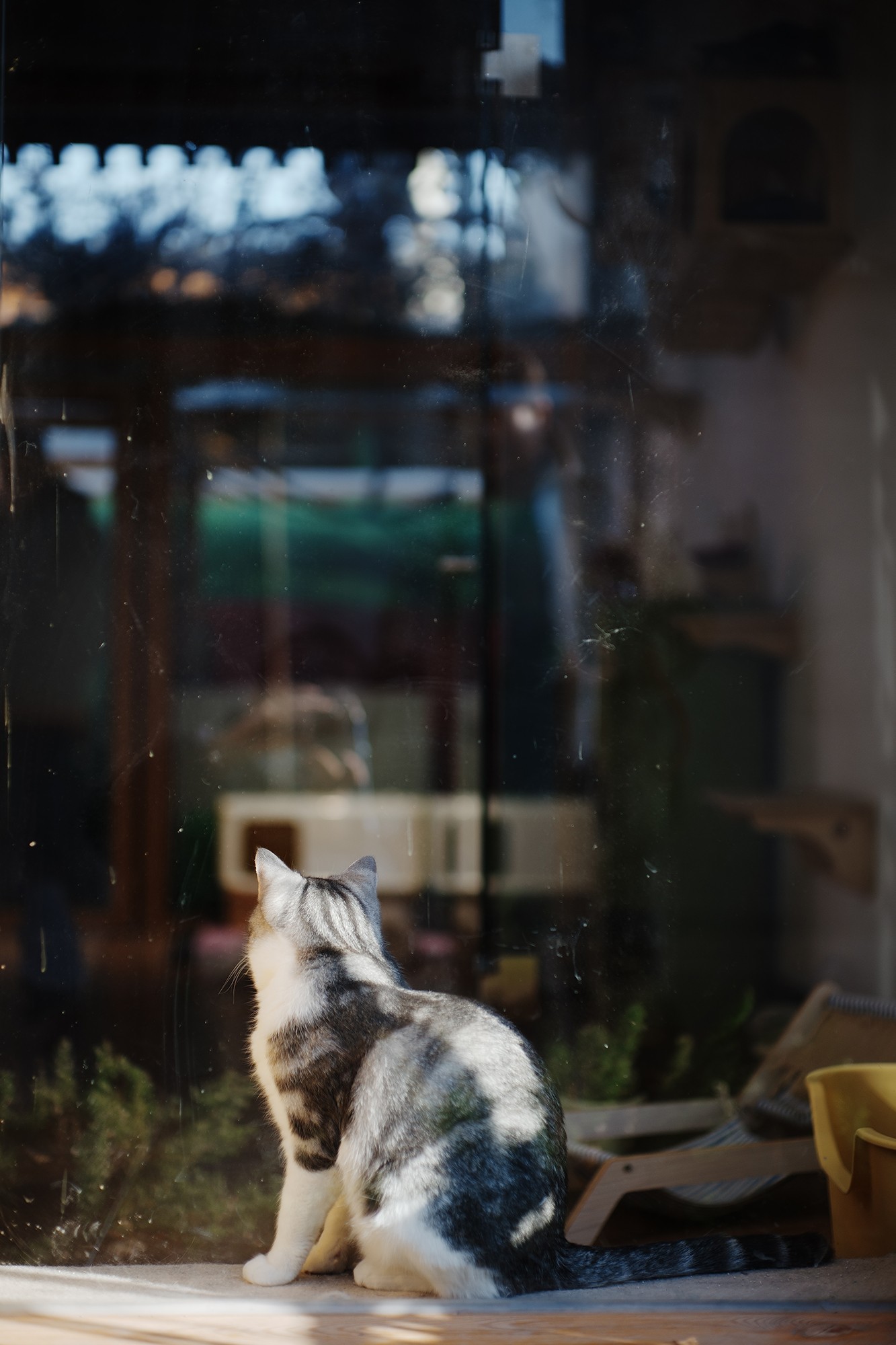 索尼Alpha 7 V 样张