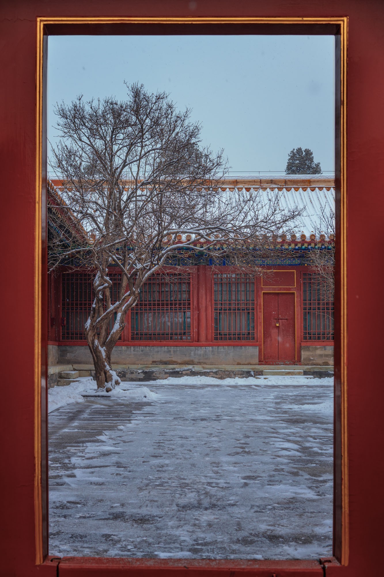 北京初雪风光摄影：雪中小路引导视线