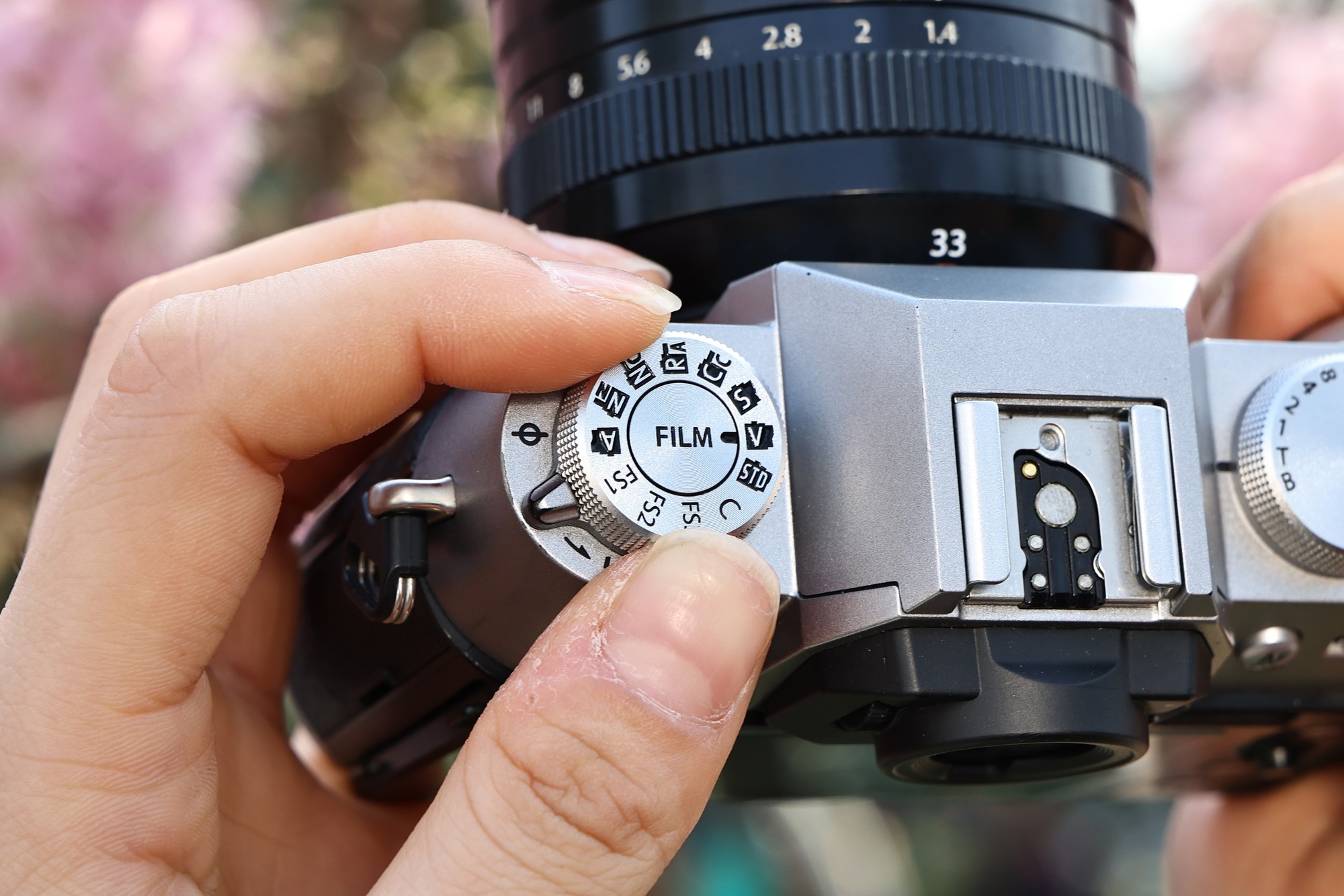 轻巧随行 画质出众 富士X-T50摄影体验