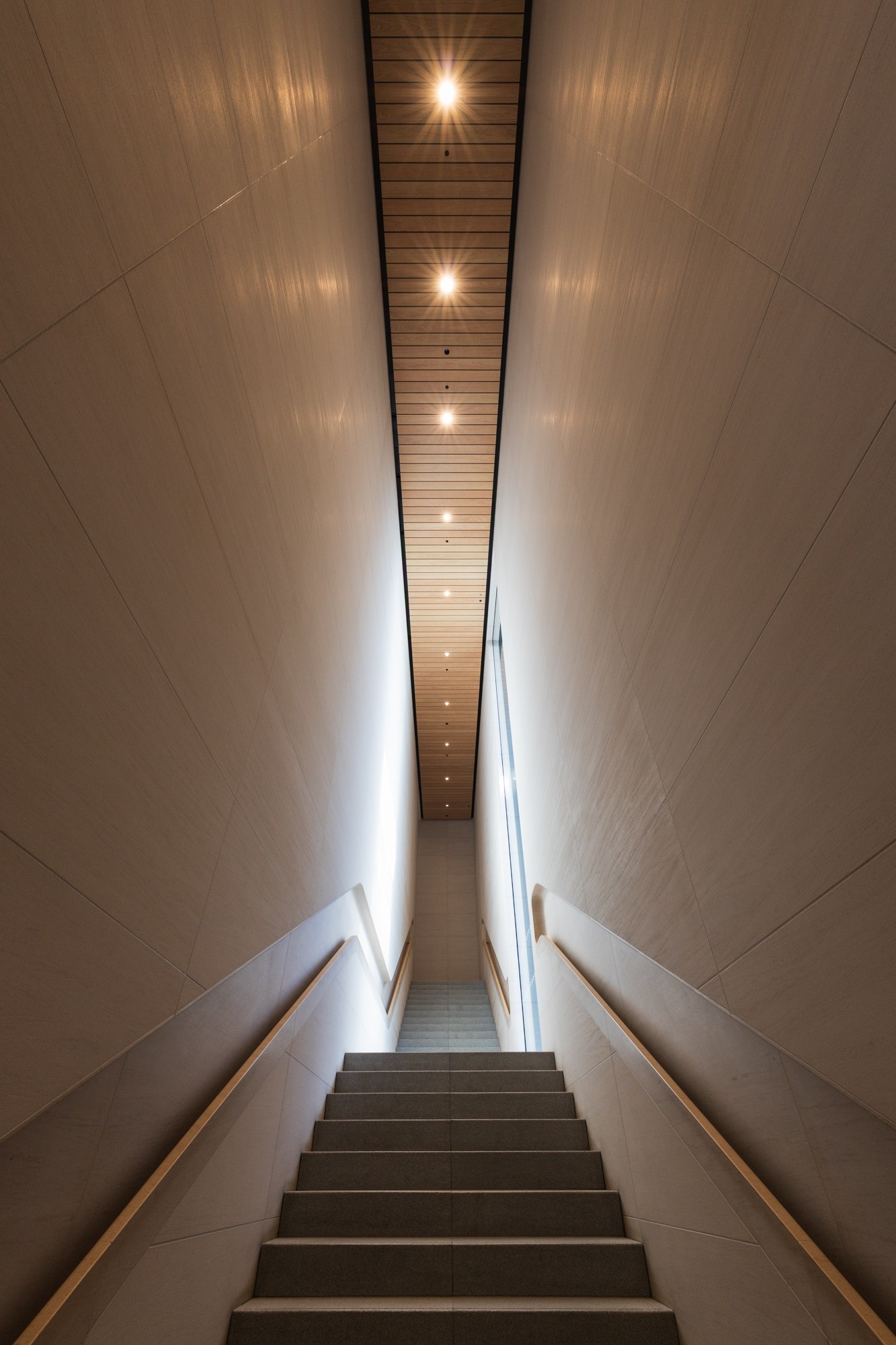 佳能RF14mm F1.4 L VCM 样张