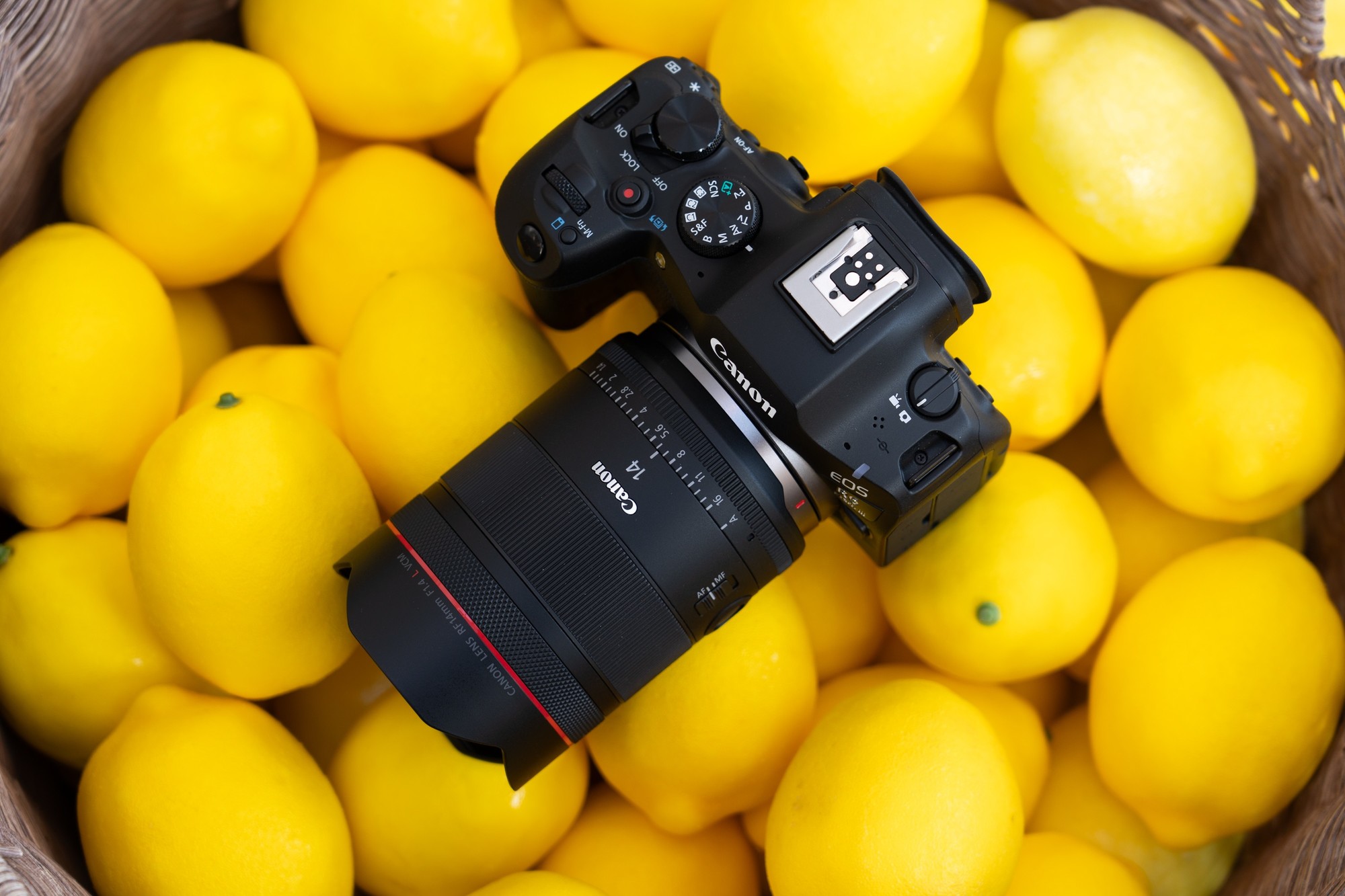 佳能RF14mm F1.4 L VCM搭配EOS R6 Mark III