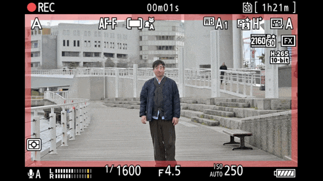 尼克尔 Z 70-200mm f/2.8 VR S II 镜头对焦速度测试 - 视频拍摄