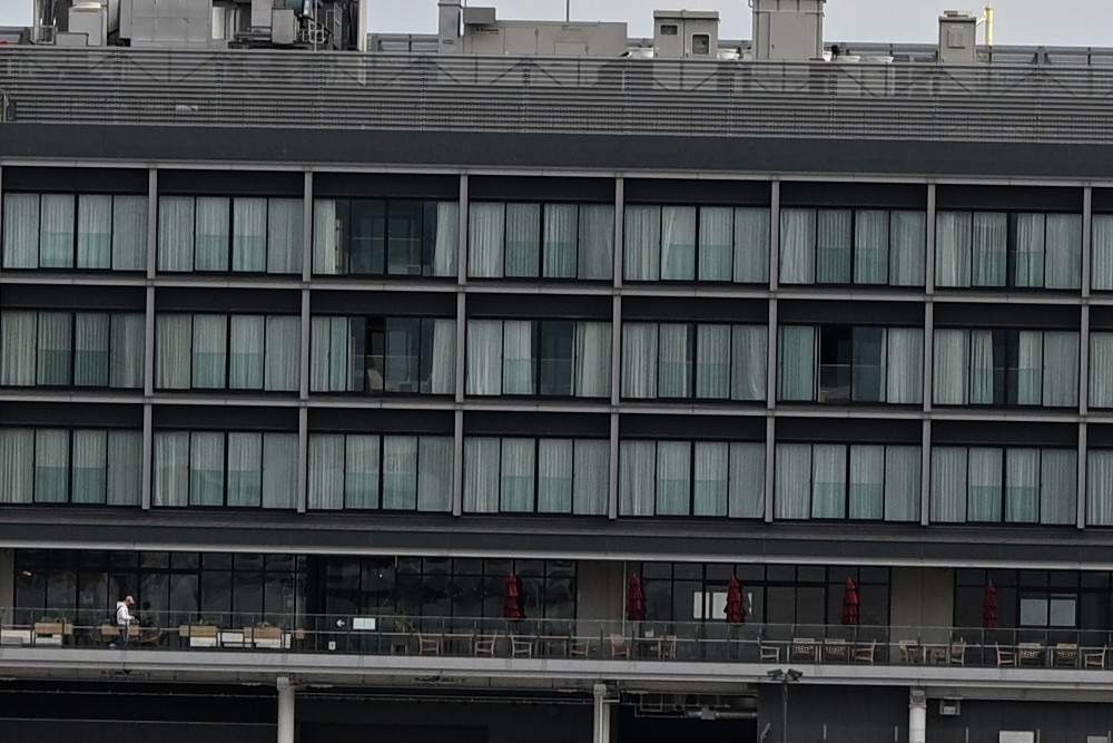 尼康 Z 70-200mm f/2.8 VR S II 镜头 70mm 端中心放大