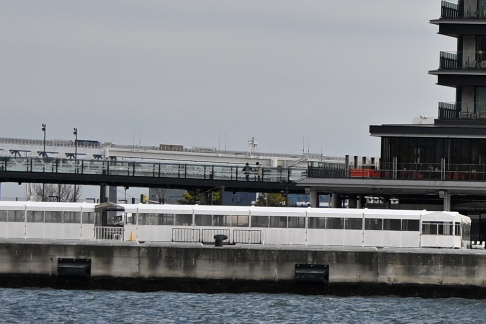 尼康 Z 70-200mm f/2.8 VR S II 镜头 70mm 端边缘放大