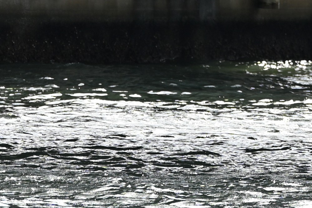 尼克尔 Z 70-200mm f/2.8 VR S II 镜头实拍测试 - 色散控制