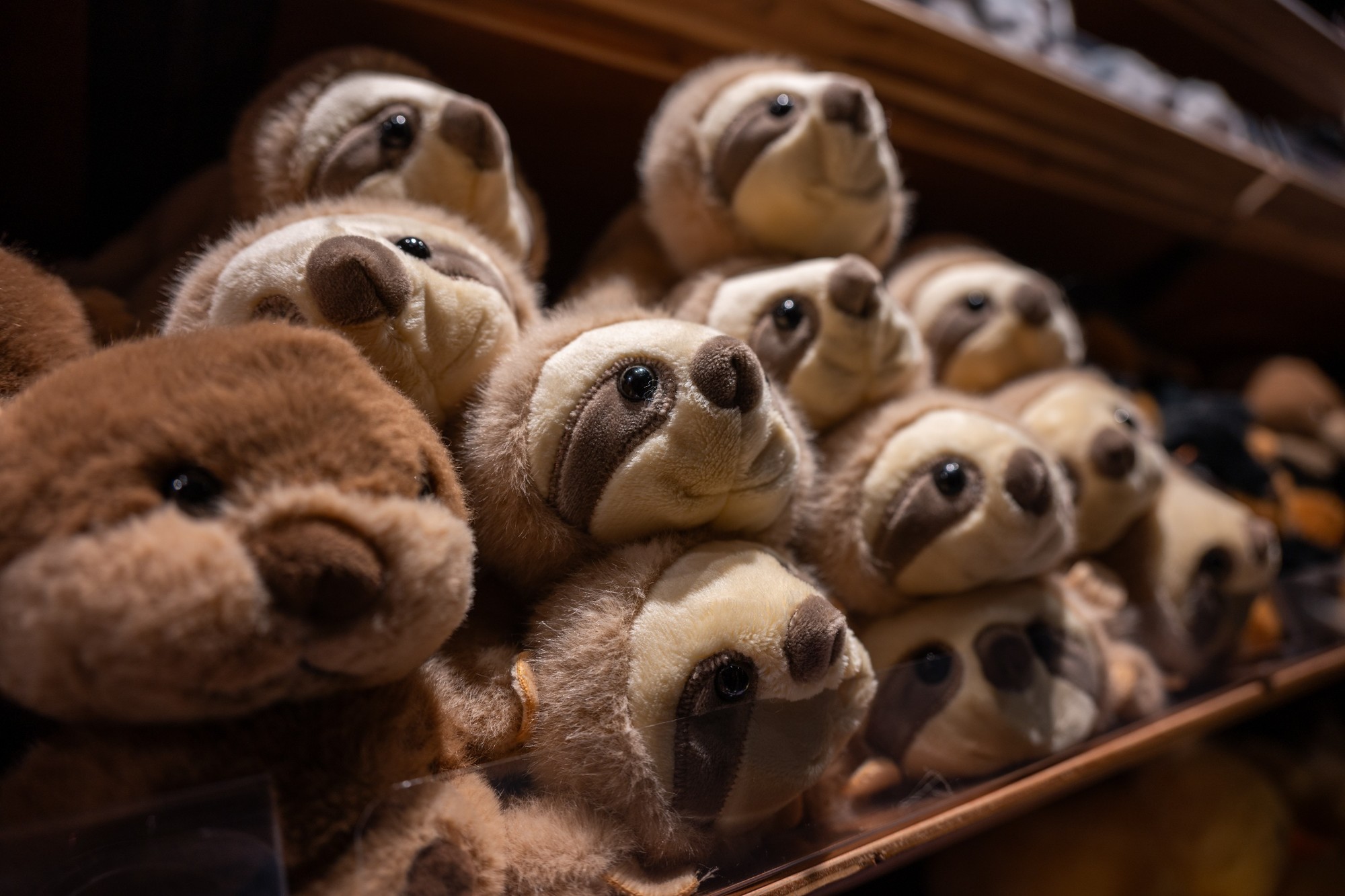 尼克尔 Z 24-105mm f/4-7.1镜头