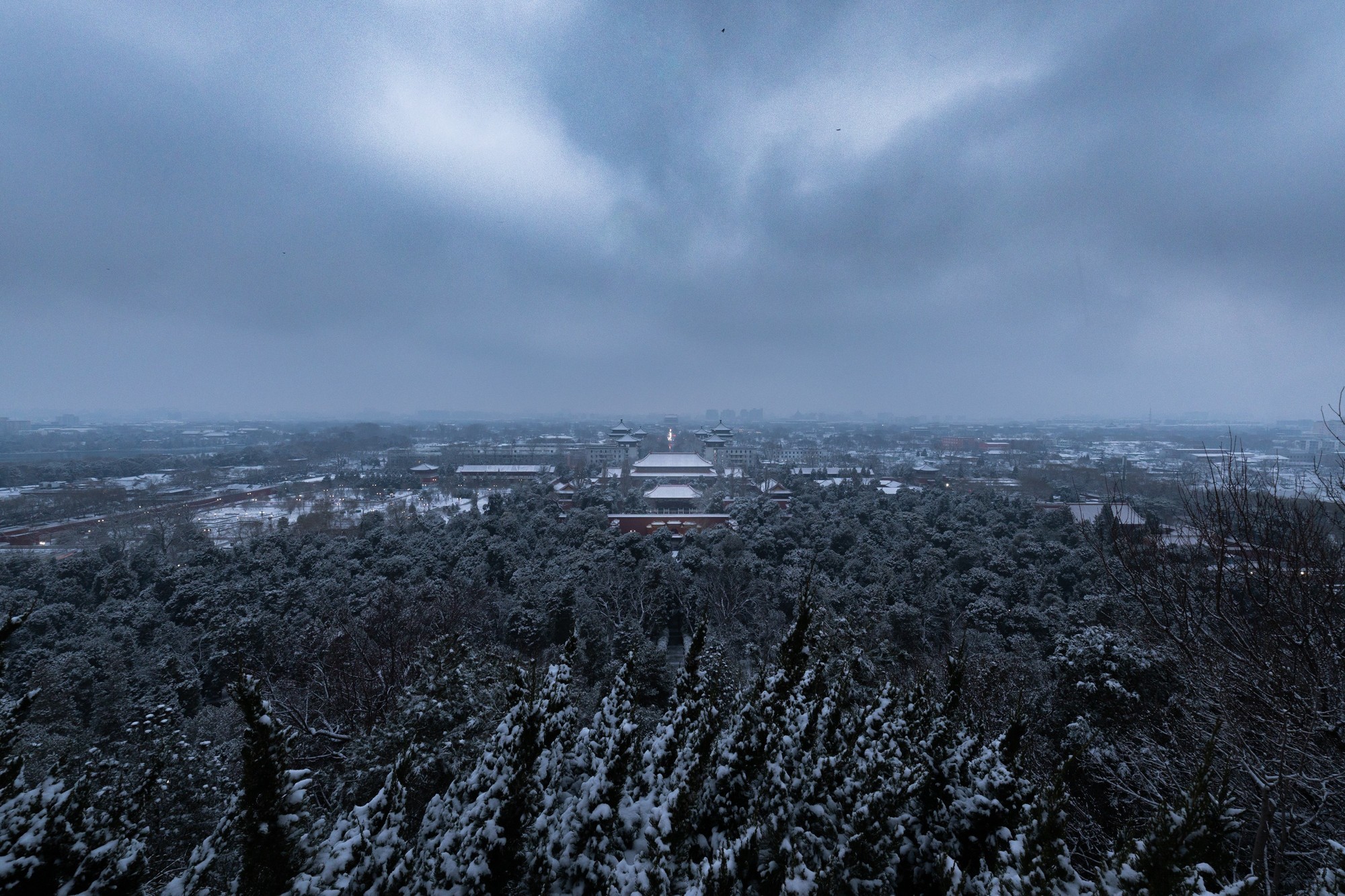 佳能RF14mm F1.4 L VCM 样张