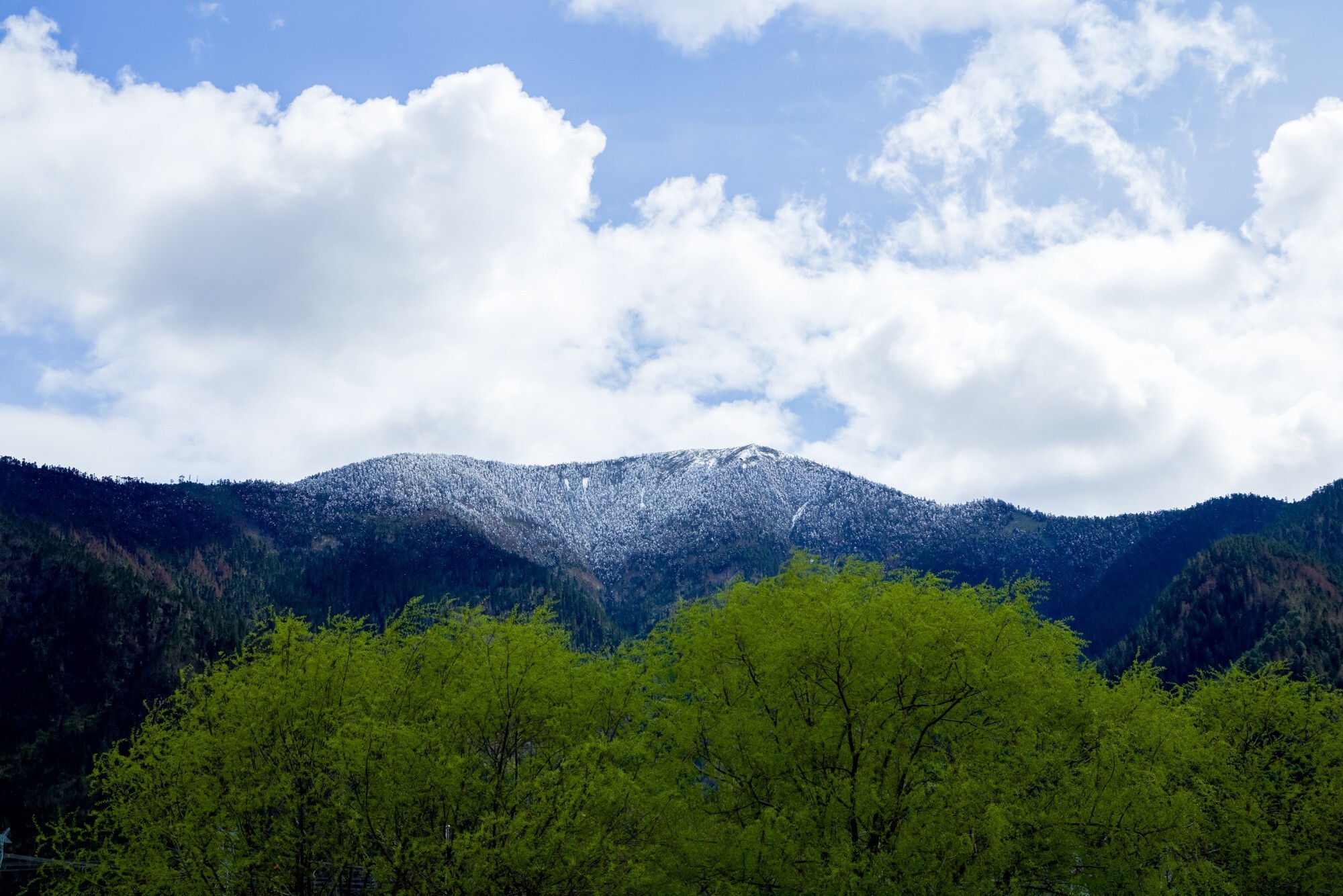 EOS 星空桃花节 用佳能EOS R5 II定格林芝雪山花海的极致风景