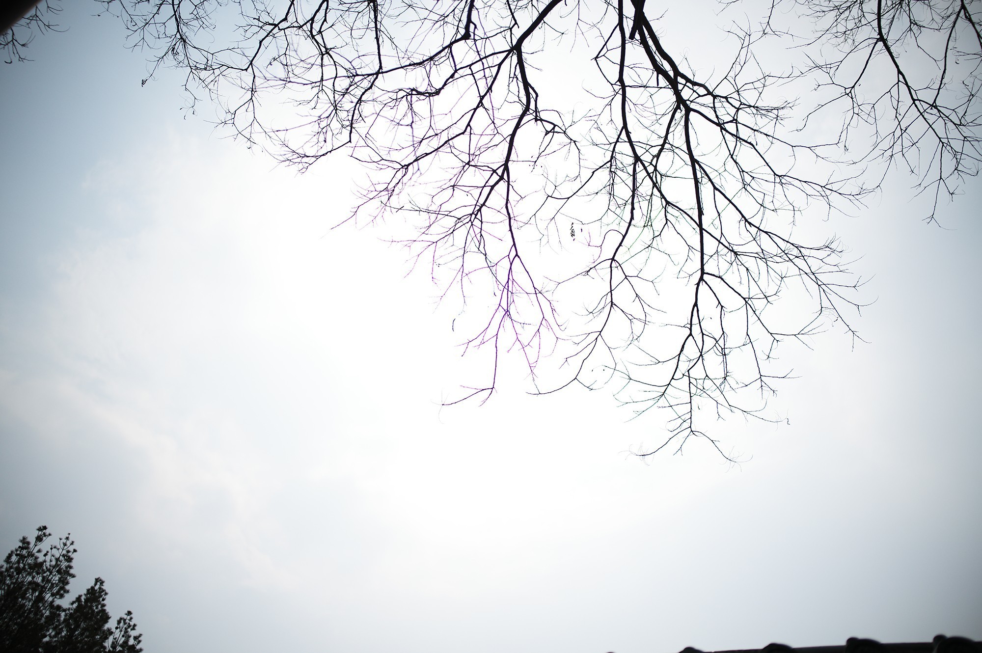 徕卡 Noctilux-M 35mm f/1.2 ASPH. 镜头色散测试