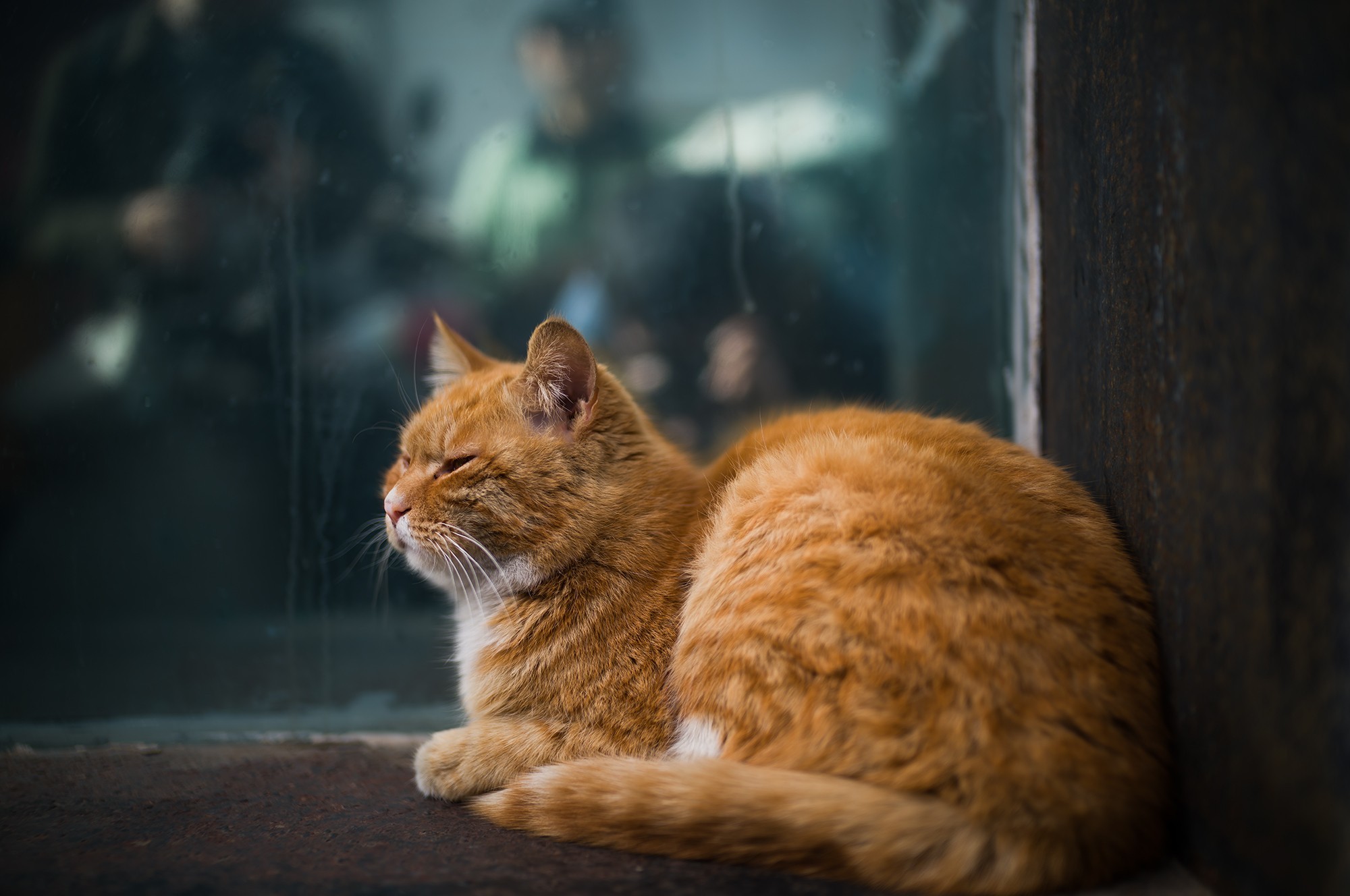 徕卡 Noctilux-M 35mm f/1.2 ASPH. 镜头实拍样片