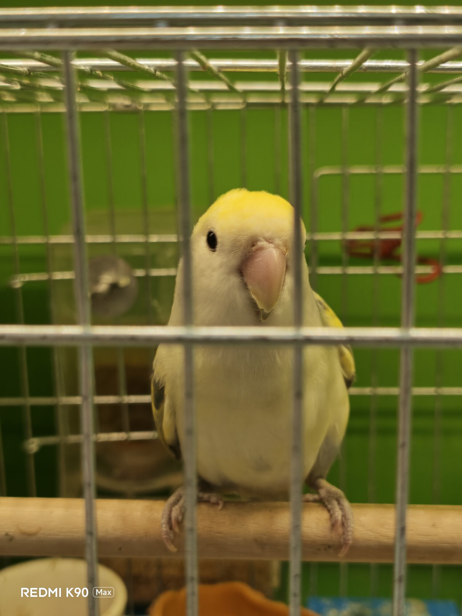 REDMI K90 Max 细节还原