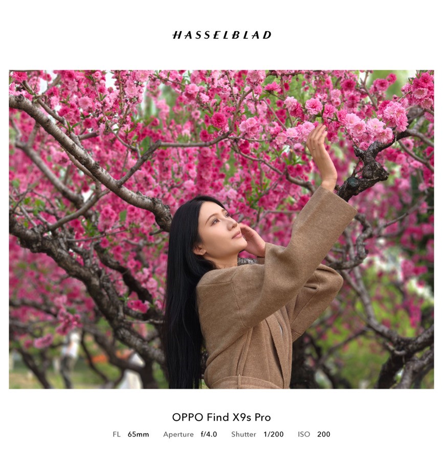 OPPO Find X9s Pro 2亿像素长焦拍摄示例