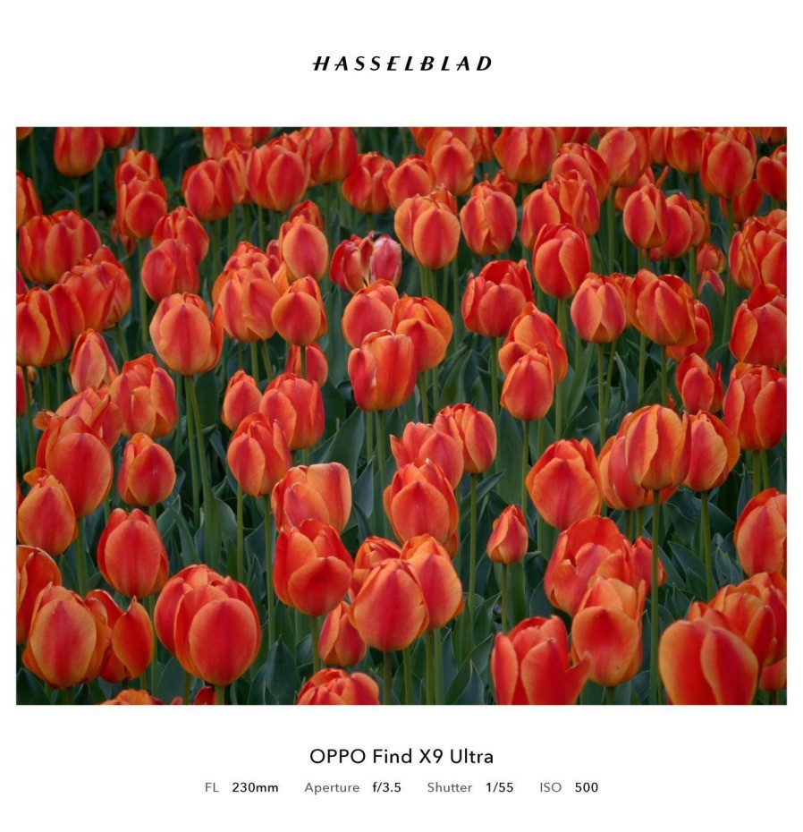 OPPO Find X9 Ultra 潜望式长焦镜头