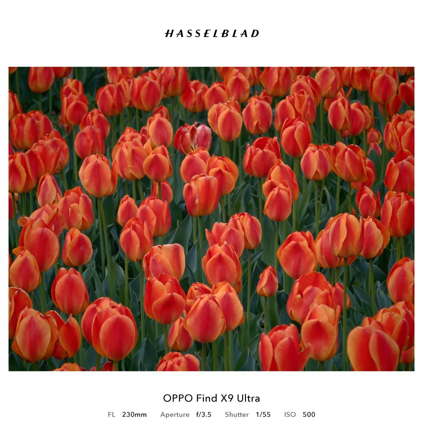 OPPO Find X9 Ultra 长焦镜头结构示意