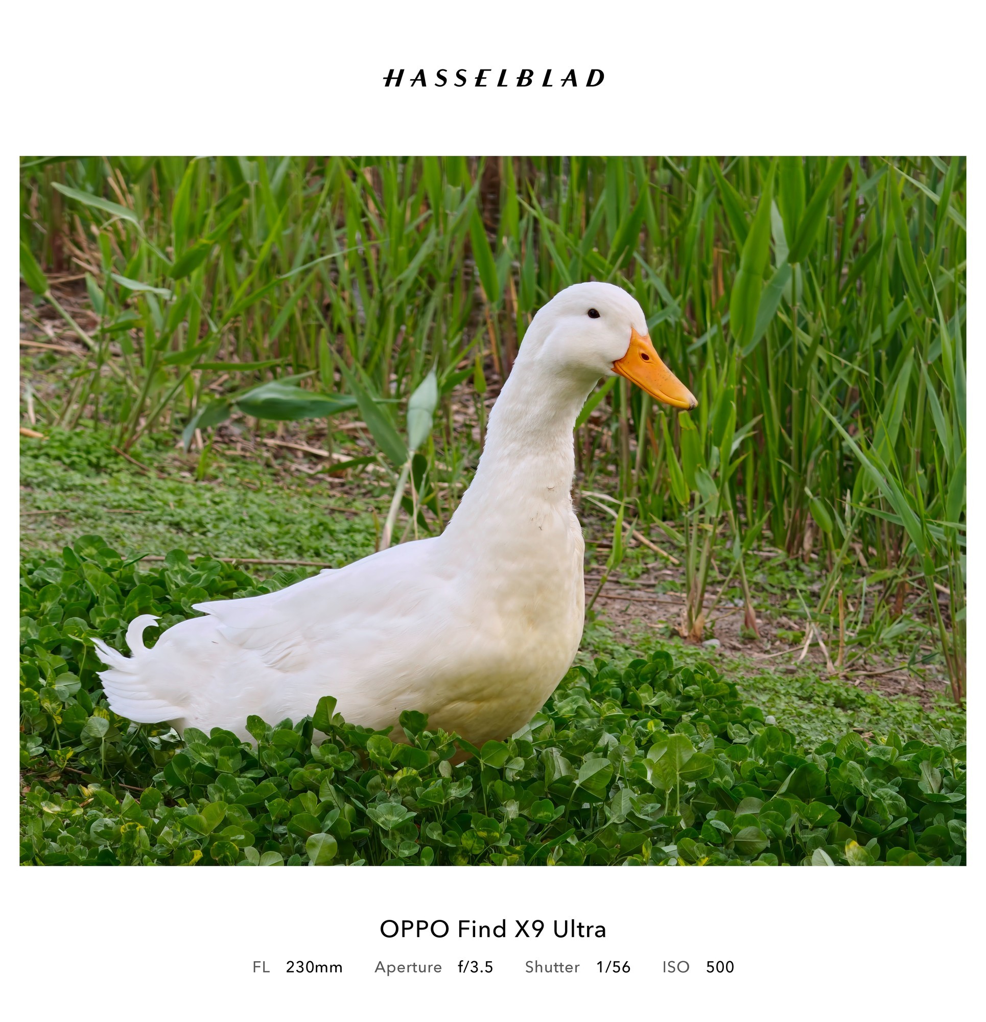 OPPO Find X9 Ultra 长焦镜头