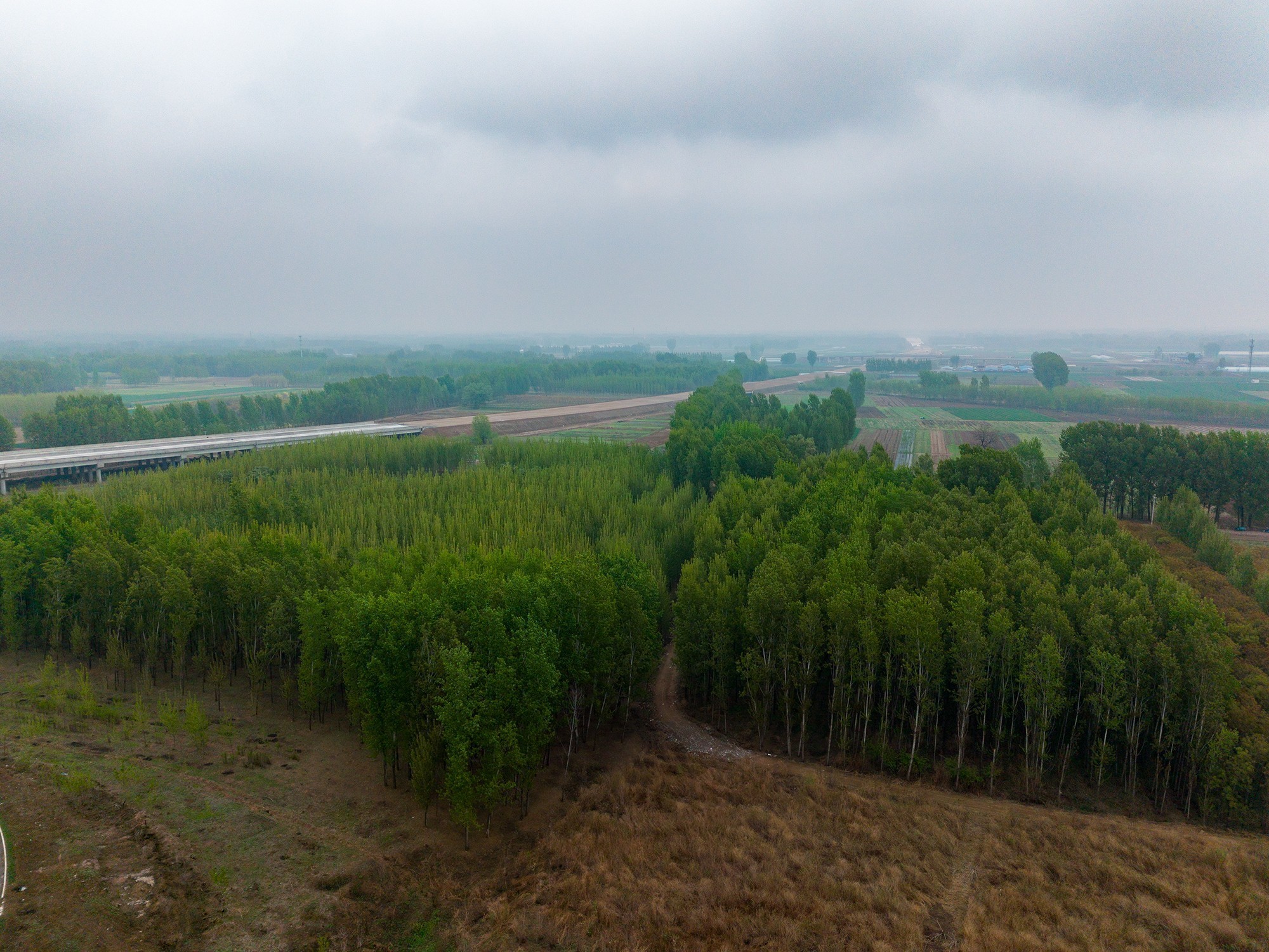 DJI Lito X1/Lito 1 实拍照片样片