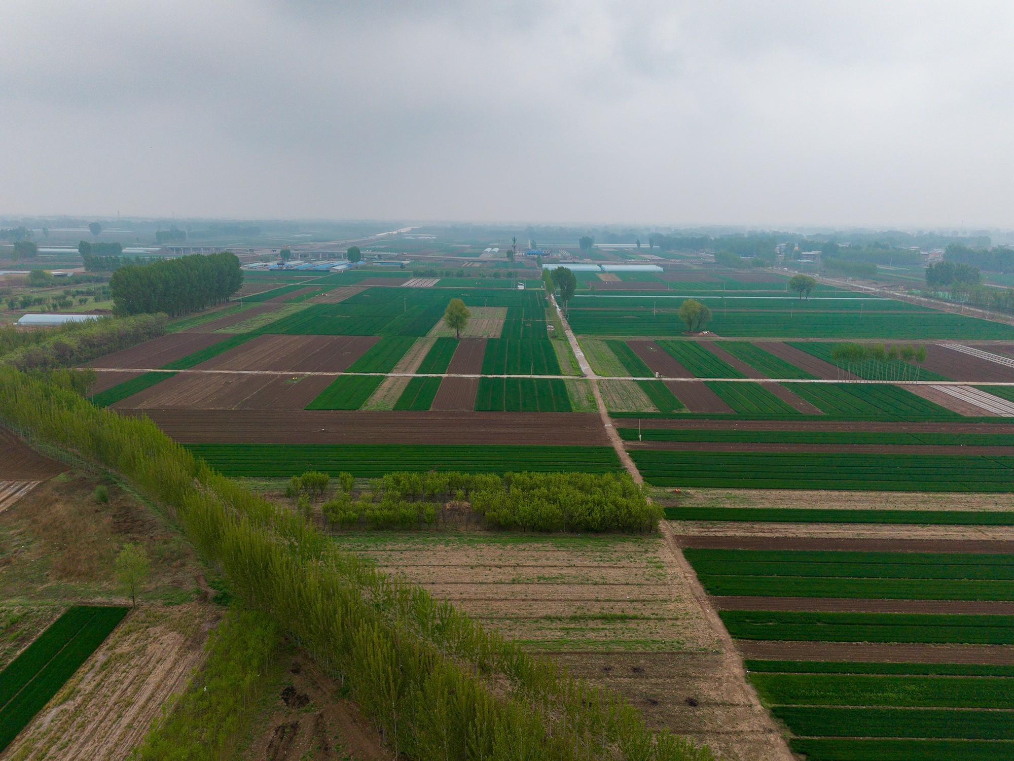 DJI Lito X1/Lito 1 实拍照片样片